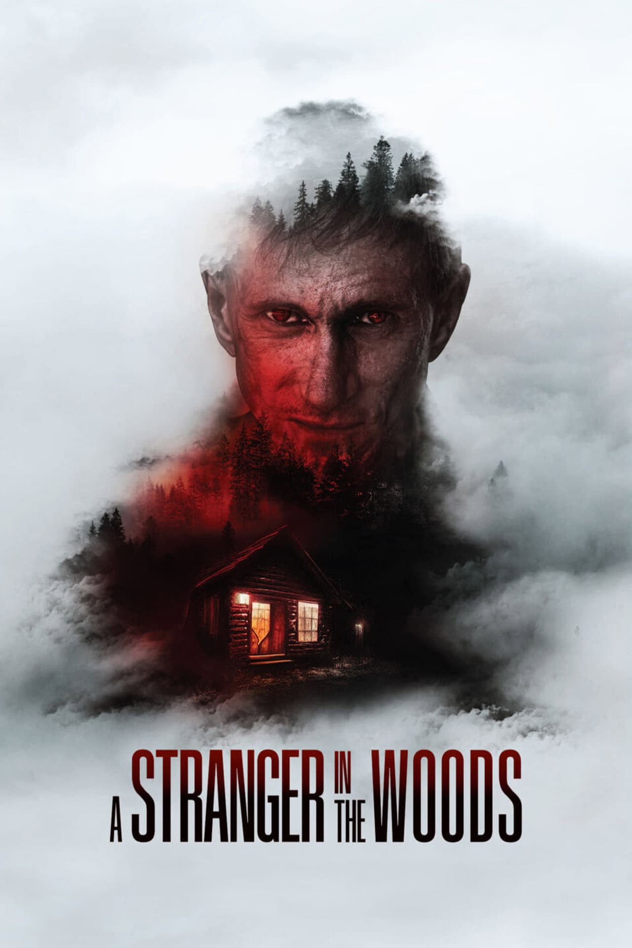 A Stranger in the Woods preview 2