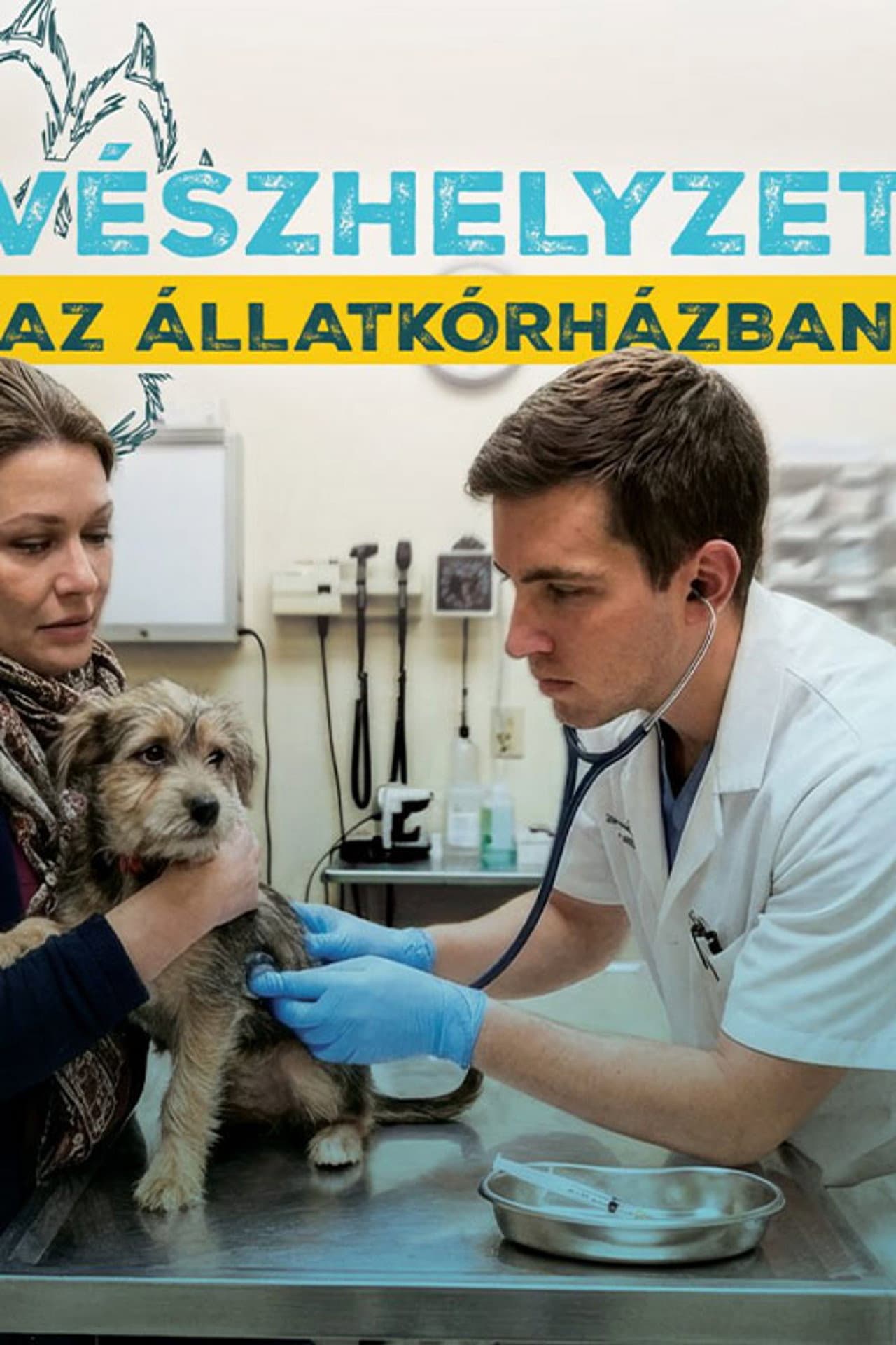 Vészhelyzet az állatkórházban preview 2