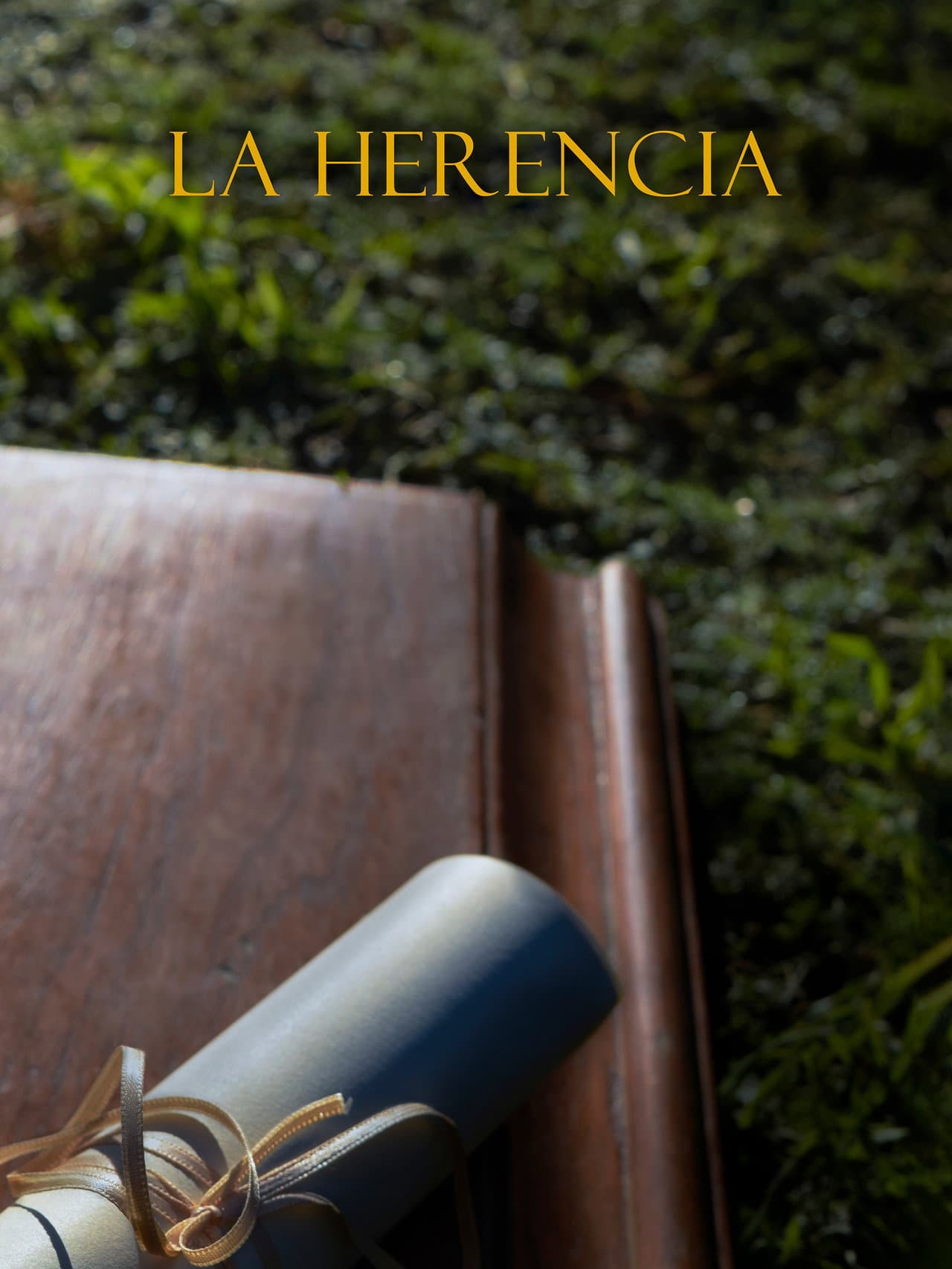 La Herencia preview 2