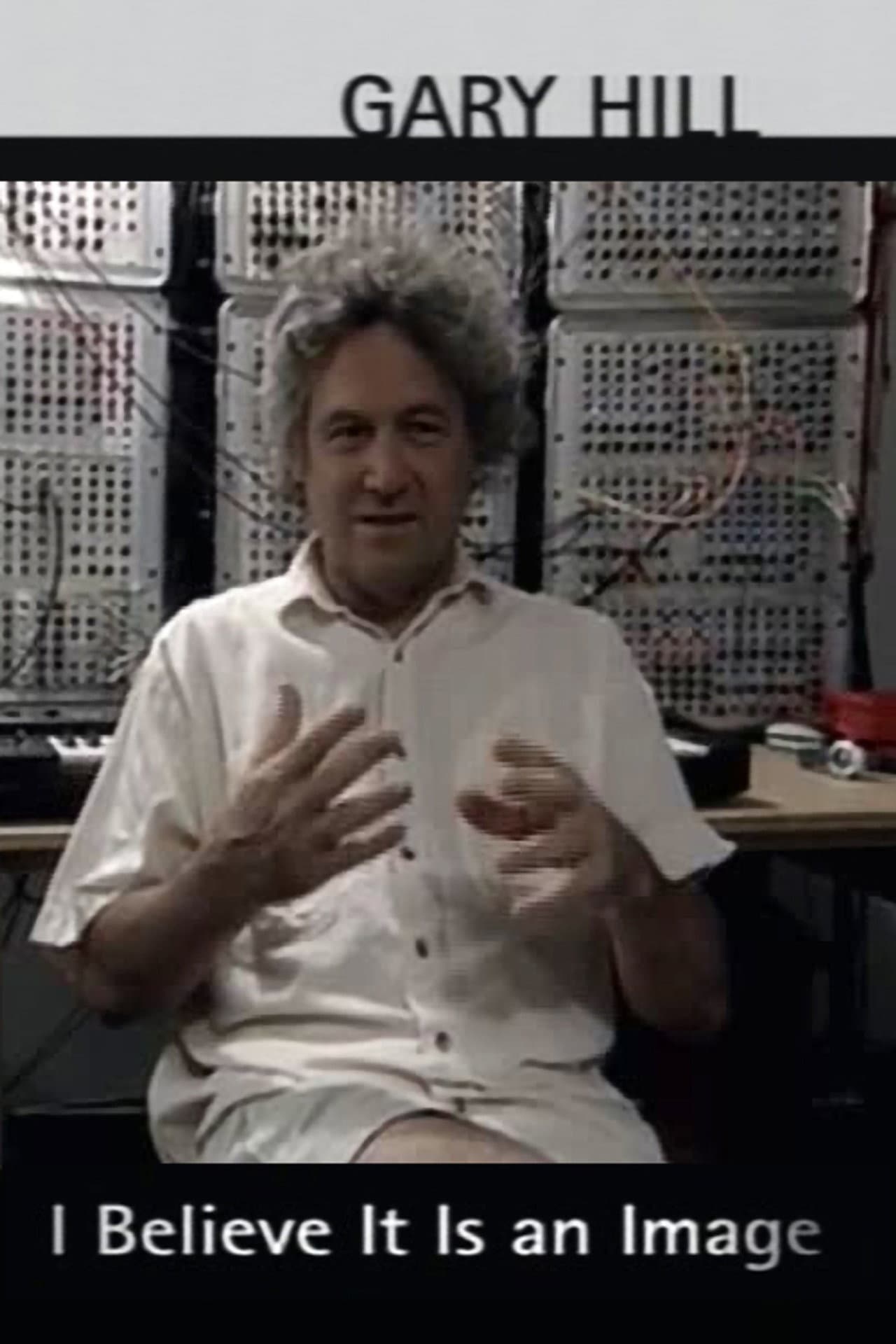 Gary Hill: I Believe It Is an Image preview 1