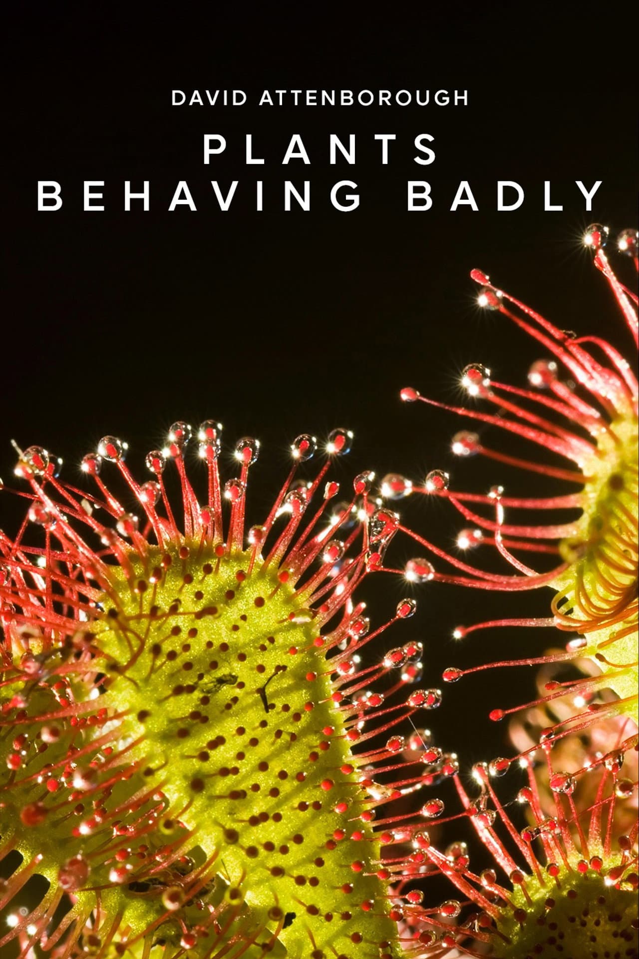 Plants Behaving Badly preview 1