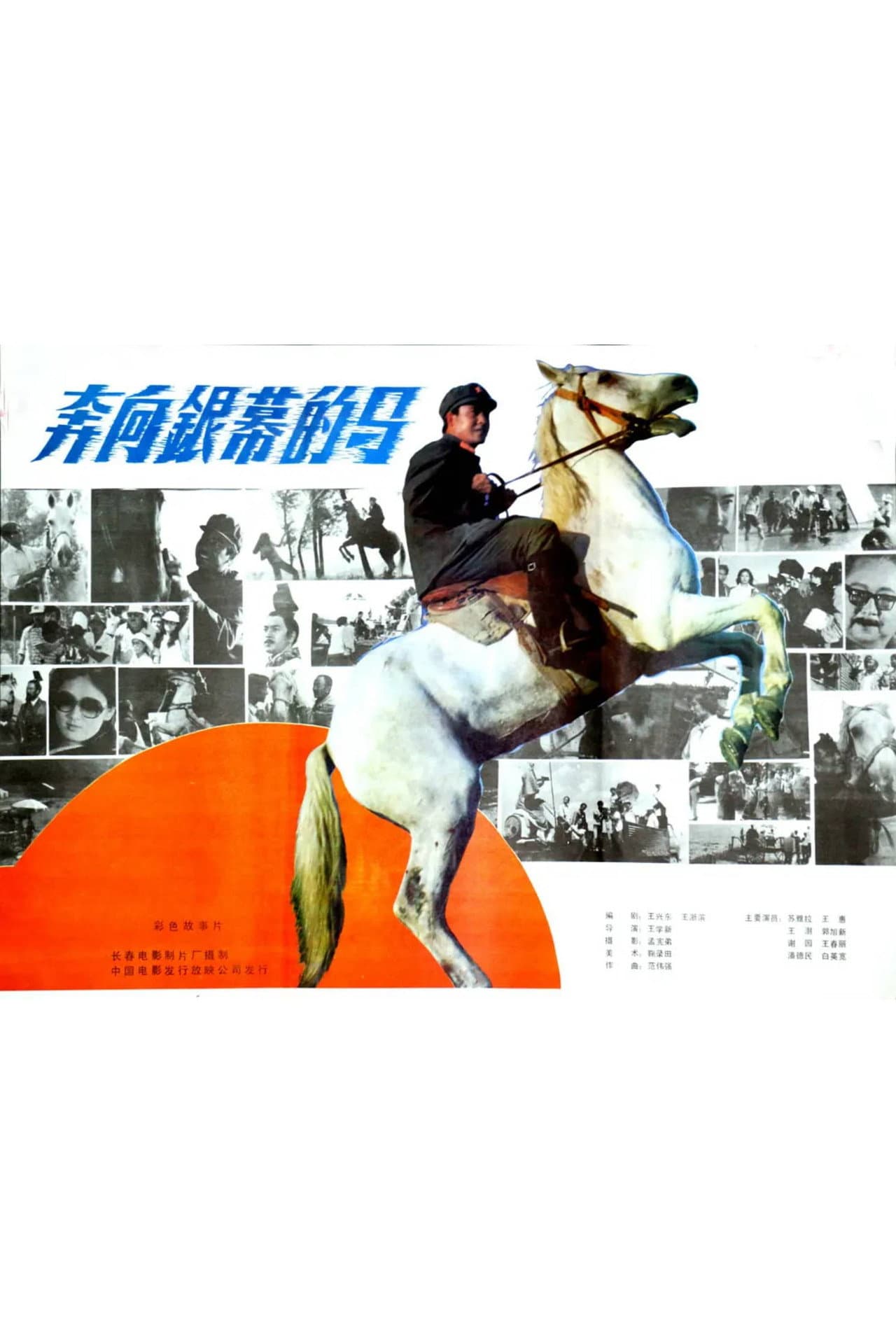 A Horse Galloping Toward Screen preview 1