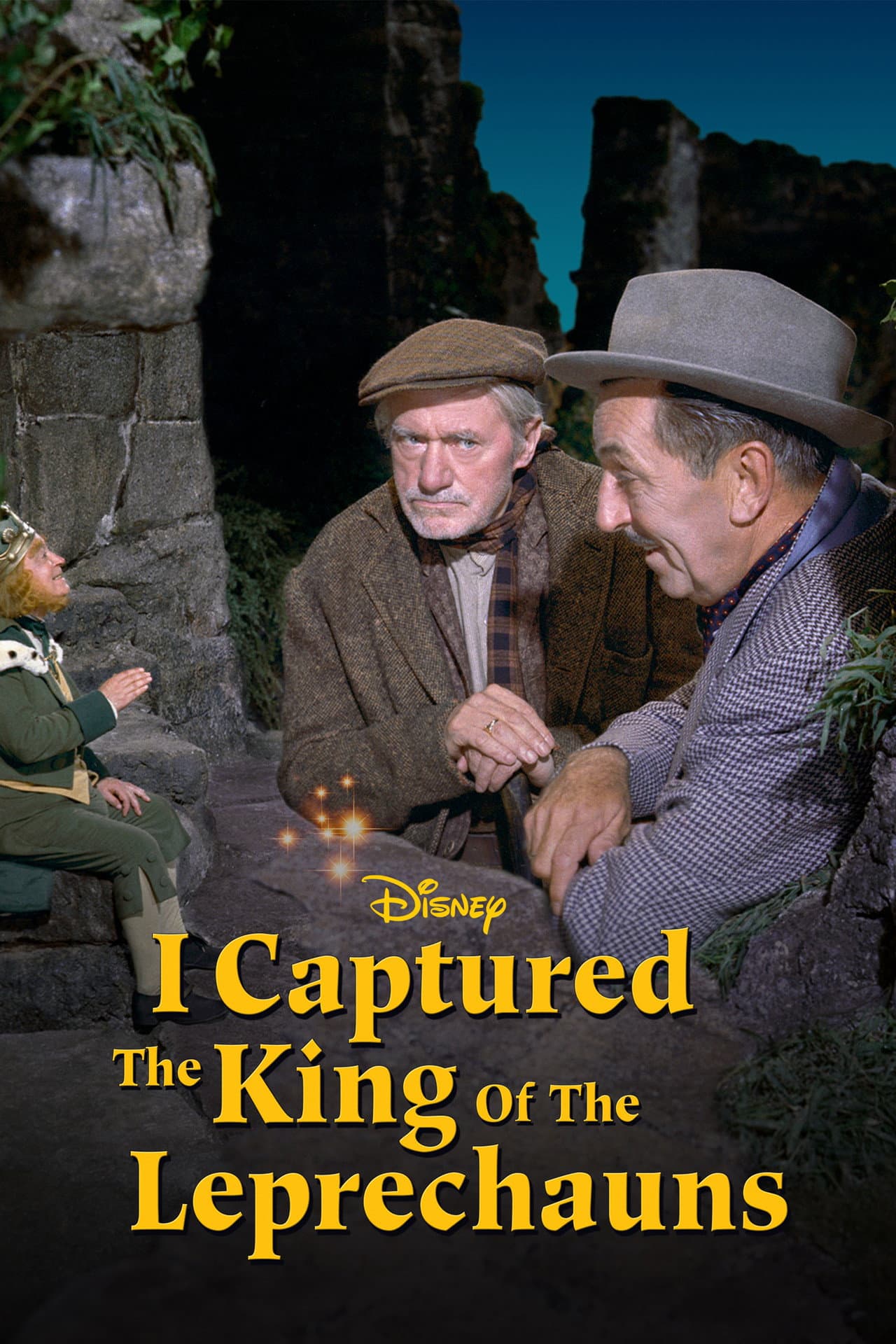 I Captured the King of the Leprechauns preview 2