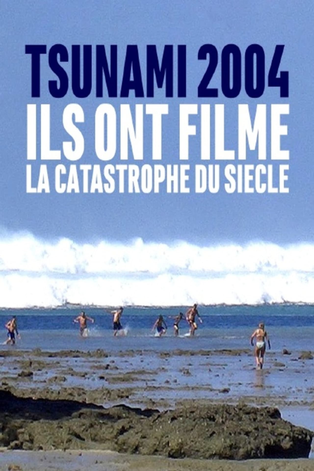 Tsunami 2004 : ils ont filmé la catastrophe du siècle preview 2
