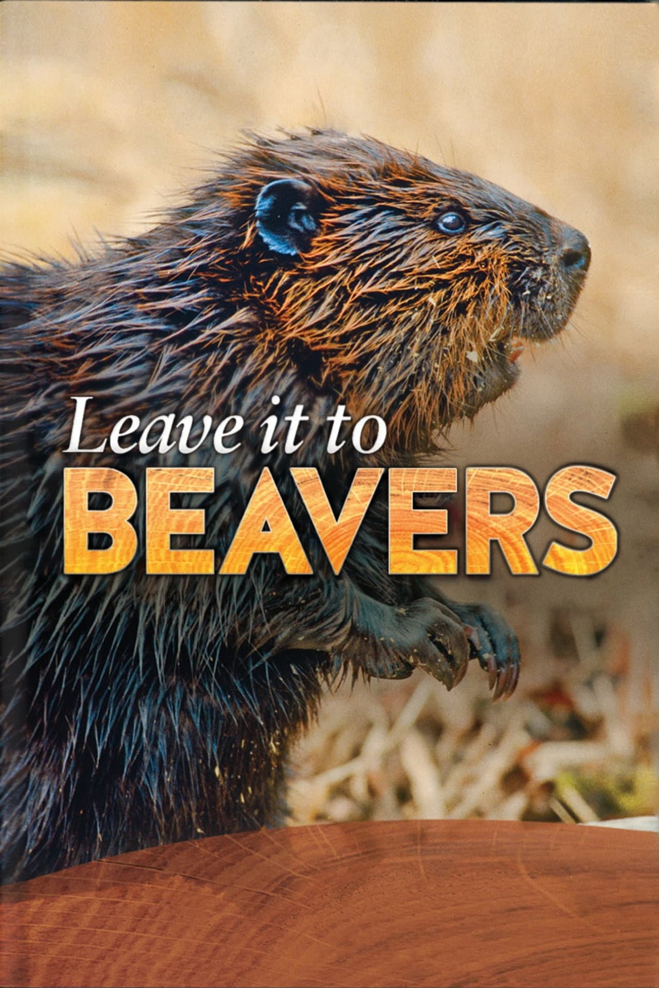 Leave it to Beavers preview 2