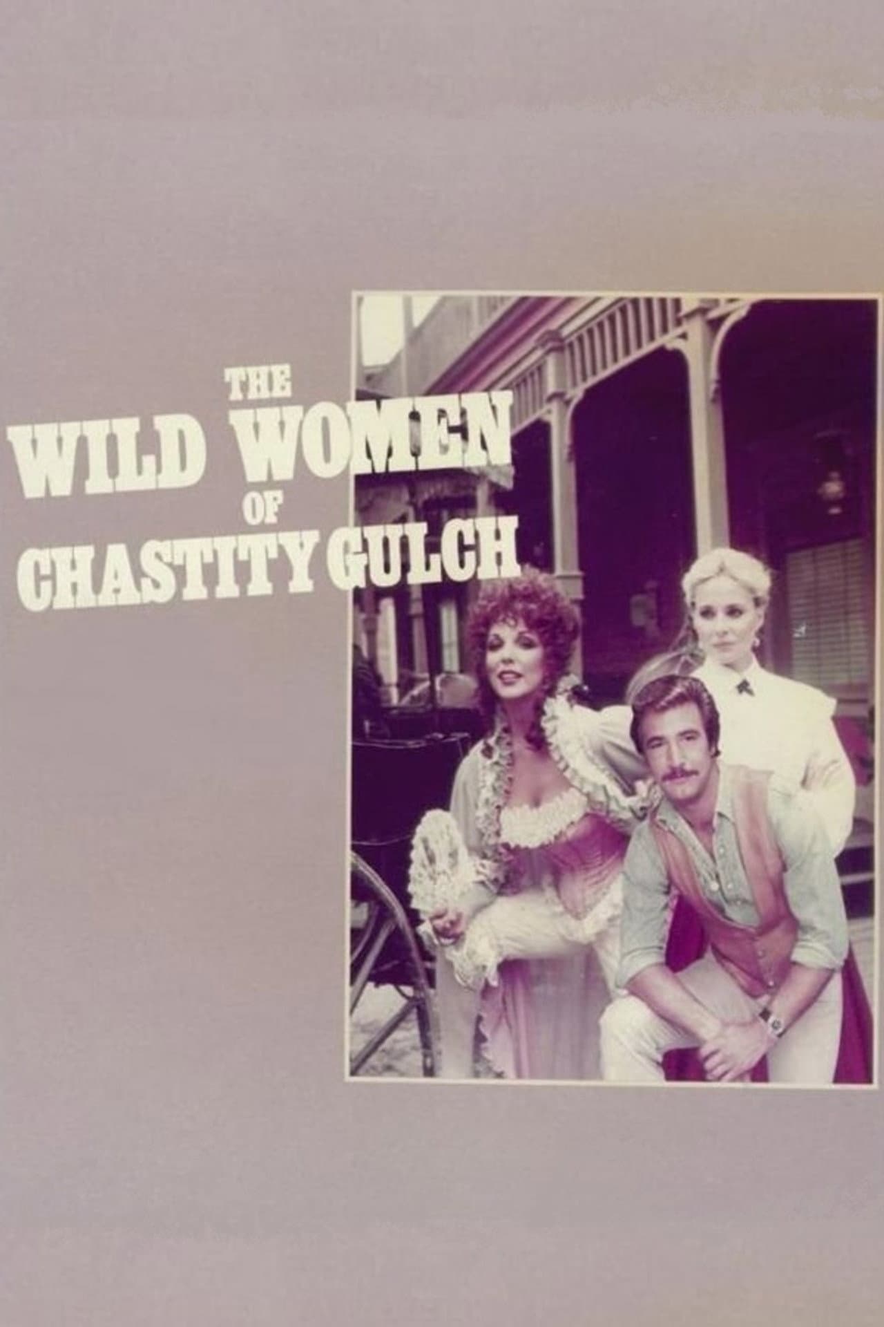 The Wild Women of Chastity Gulch preview 2