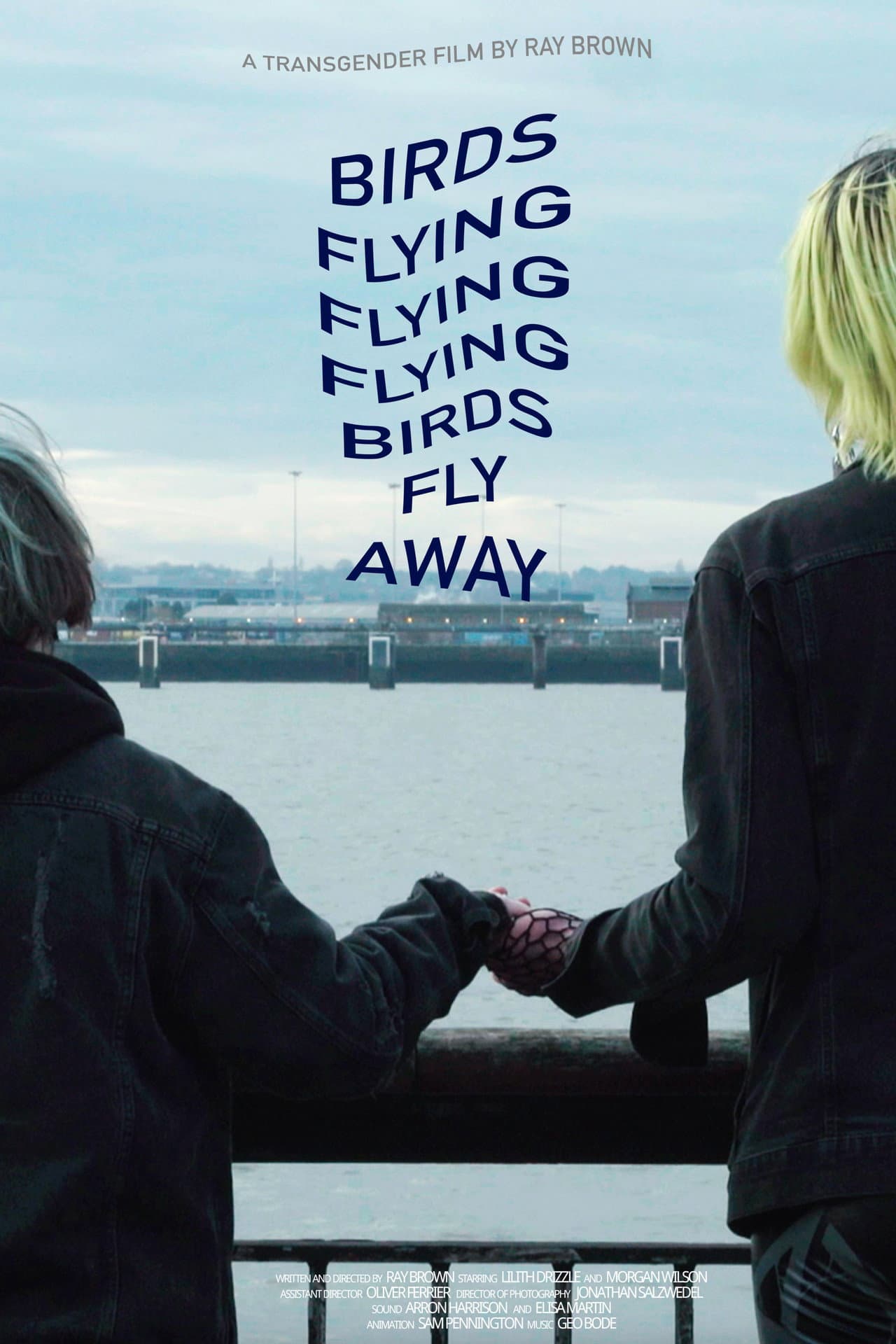 Birds Flying Flying Flying Birds Fly Away preview 1