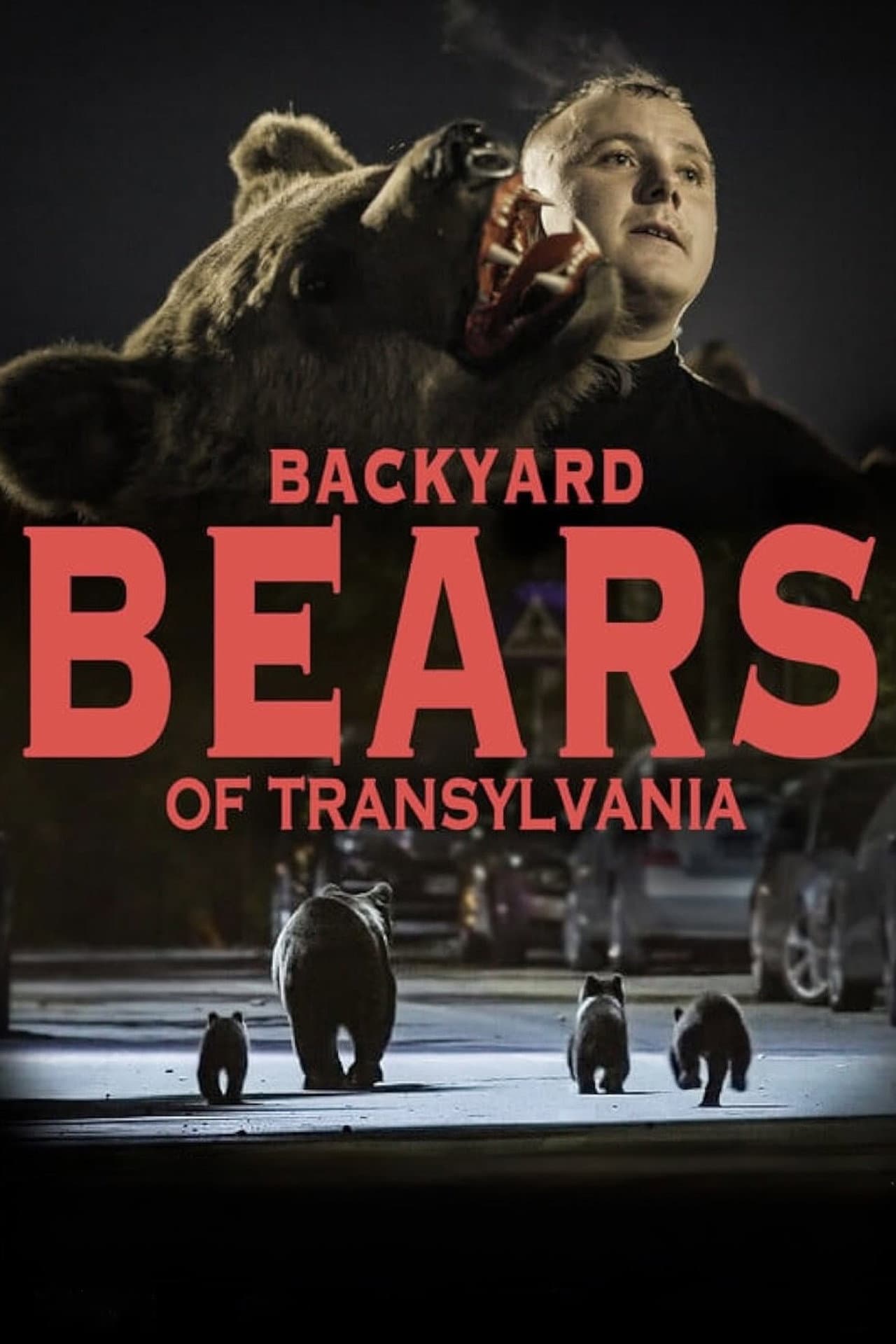 Backyard Bears of Transylvania preview 2