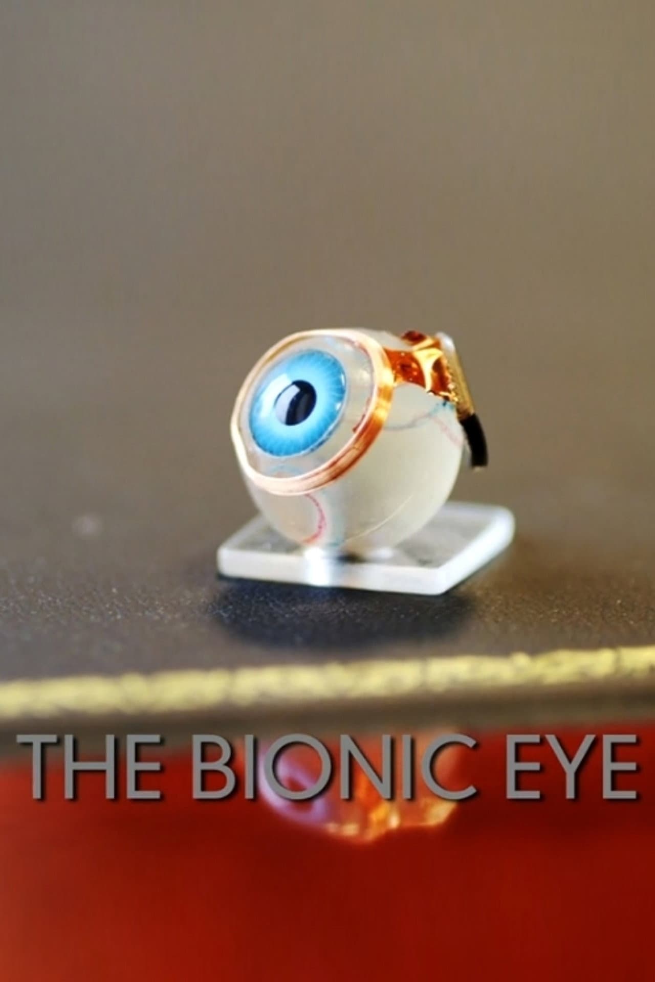 The Bionic Eye preview 1