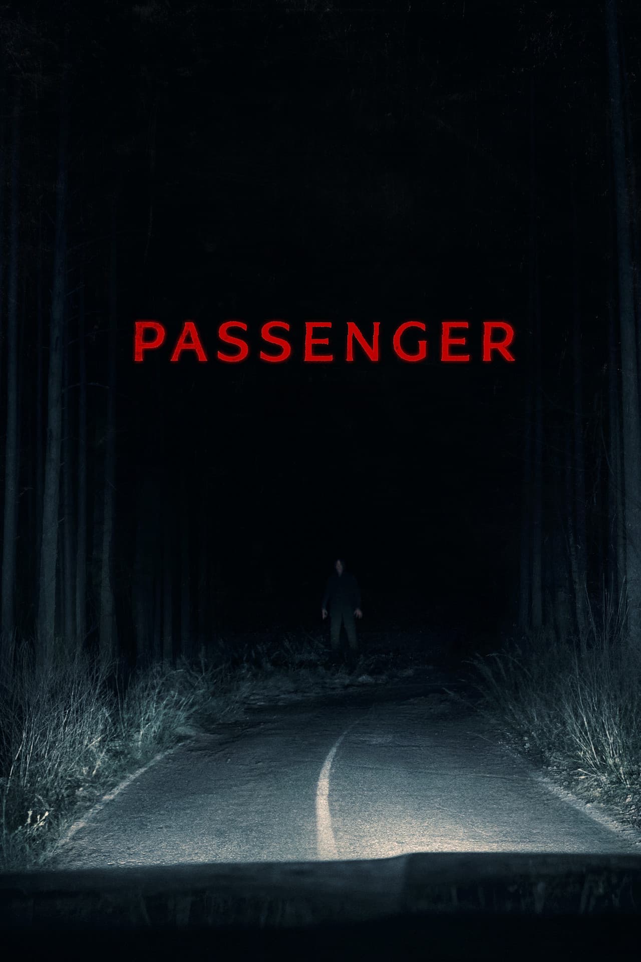 Passenger preview 2