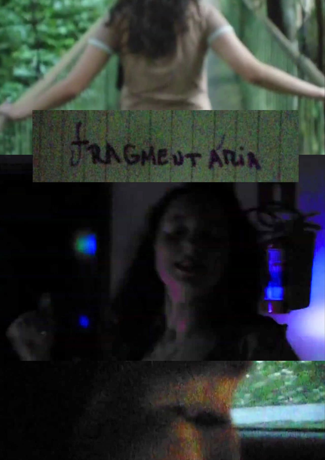 Fragmentary preview 2
