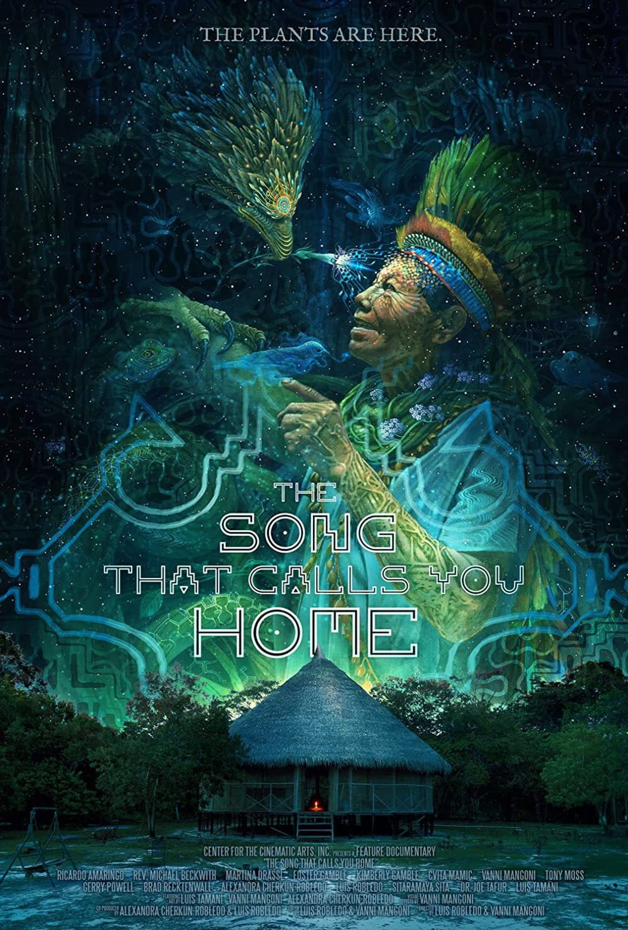 The Song That Calls You Home preview 2