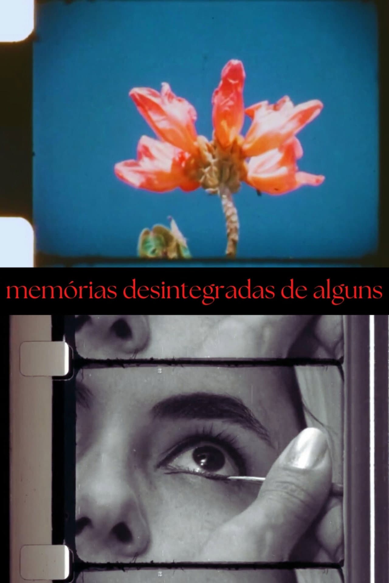 Disintegrated Memories of Some preview 1