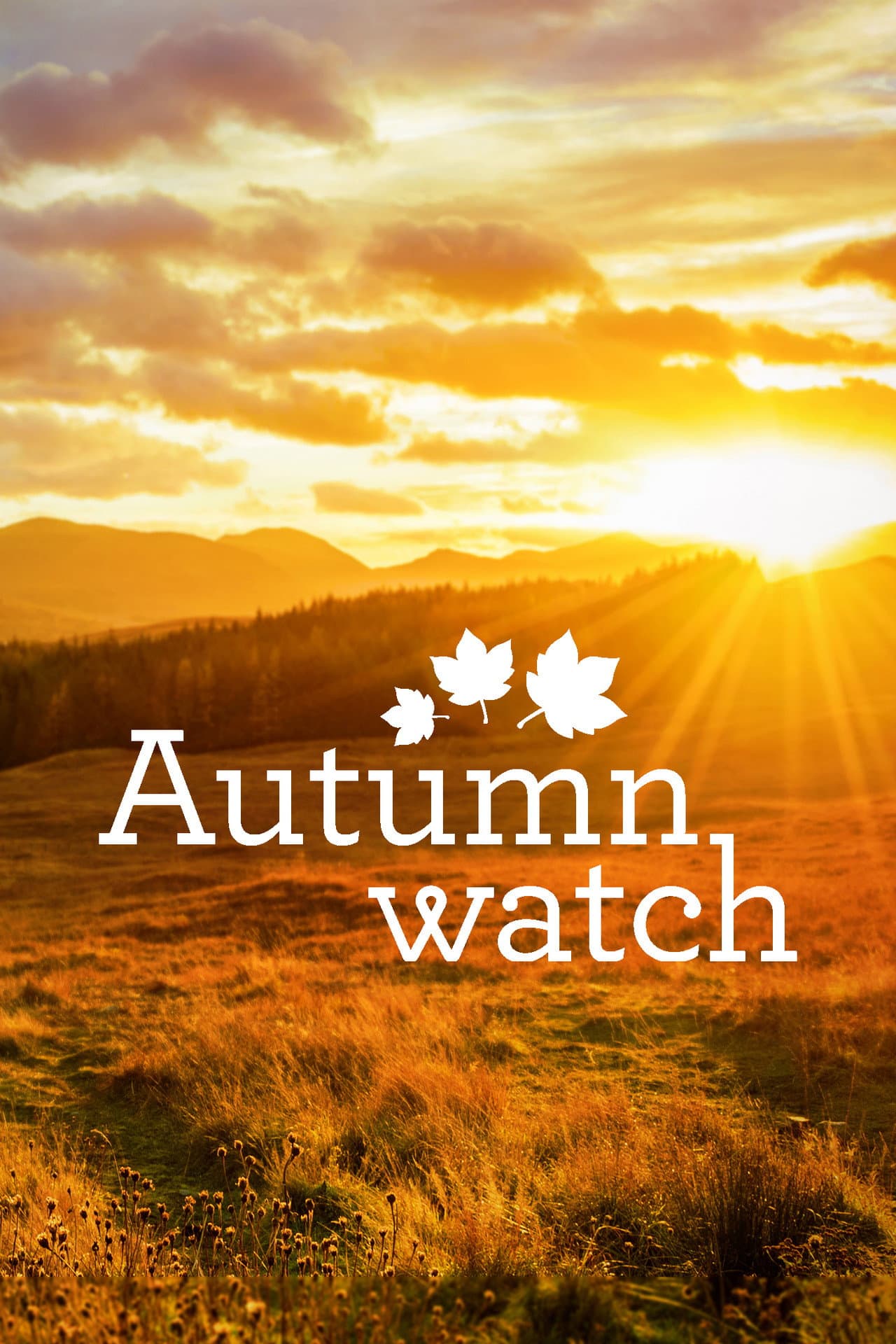 Autumnwatch preview 2