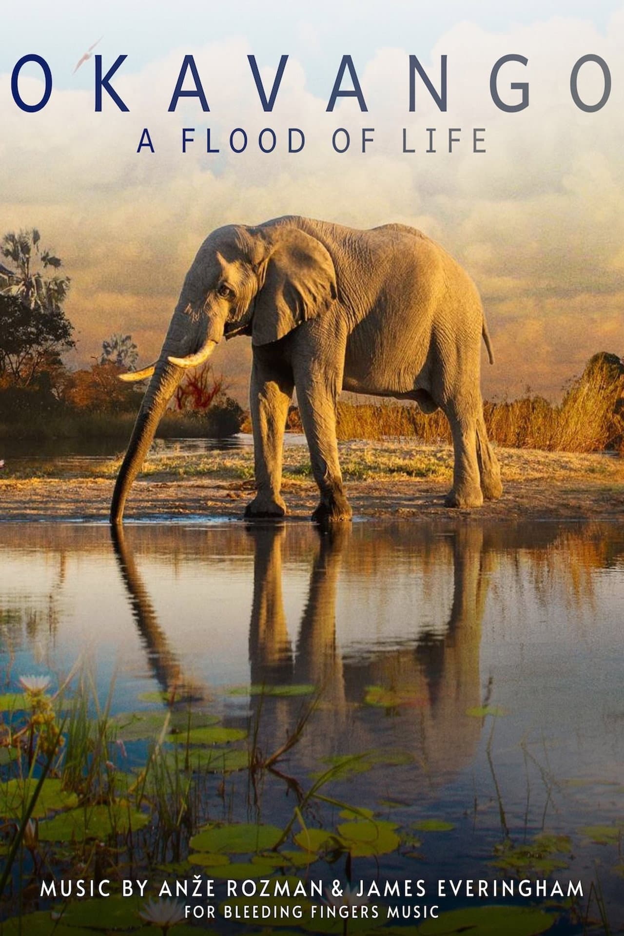 Okavango: A Flood of Life preview 2