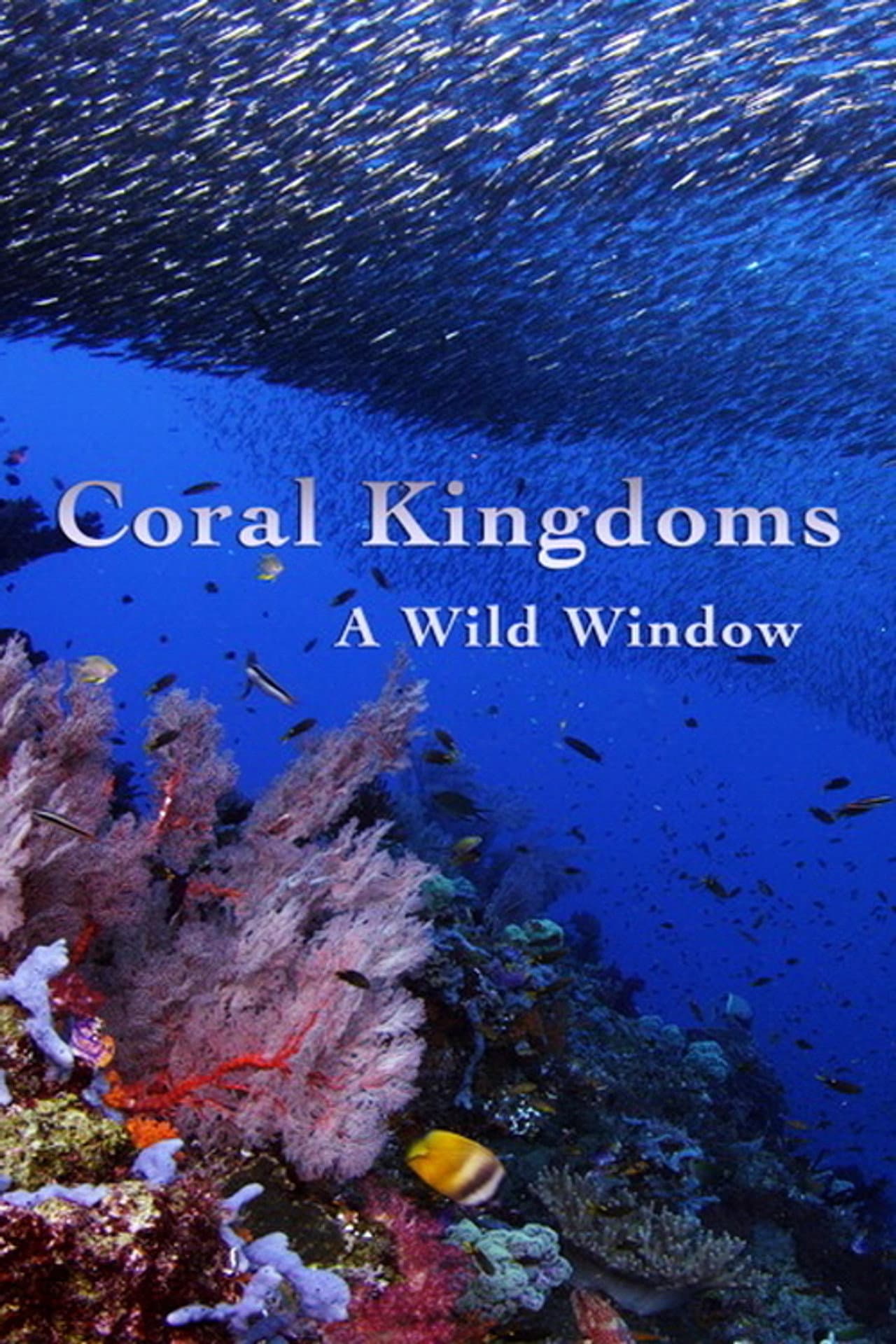 A Wild Window: Coral Kingdoms preview 1