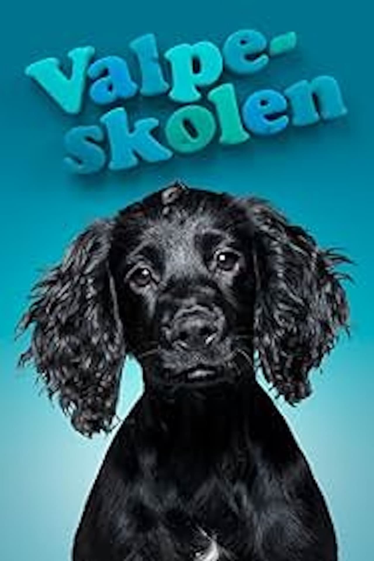 The Puppy School preview 2