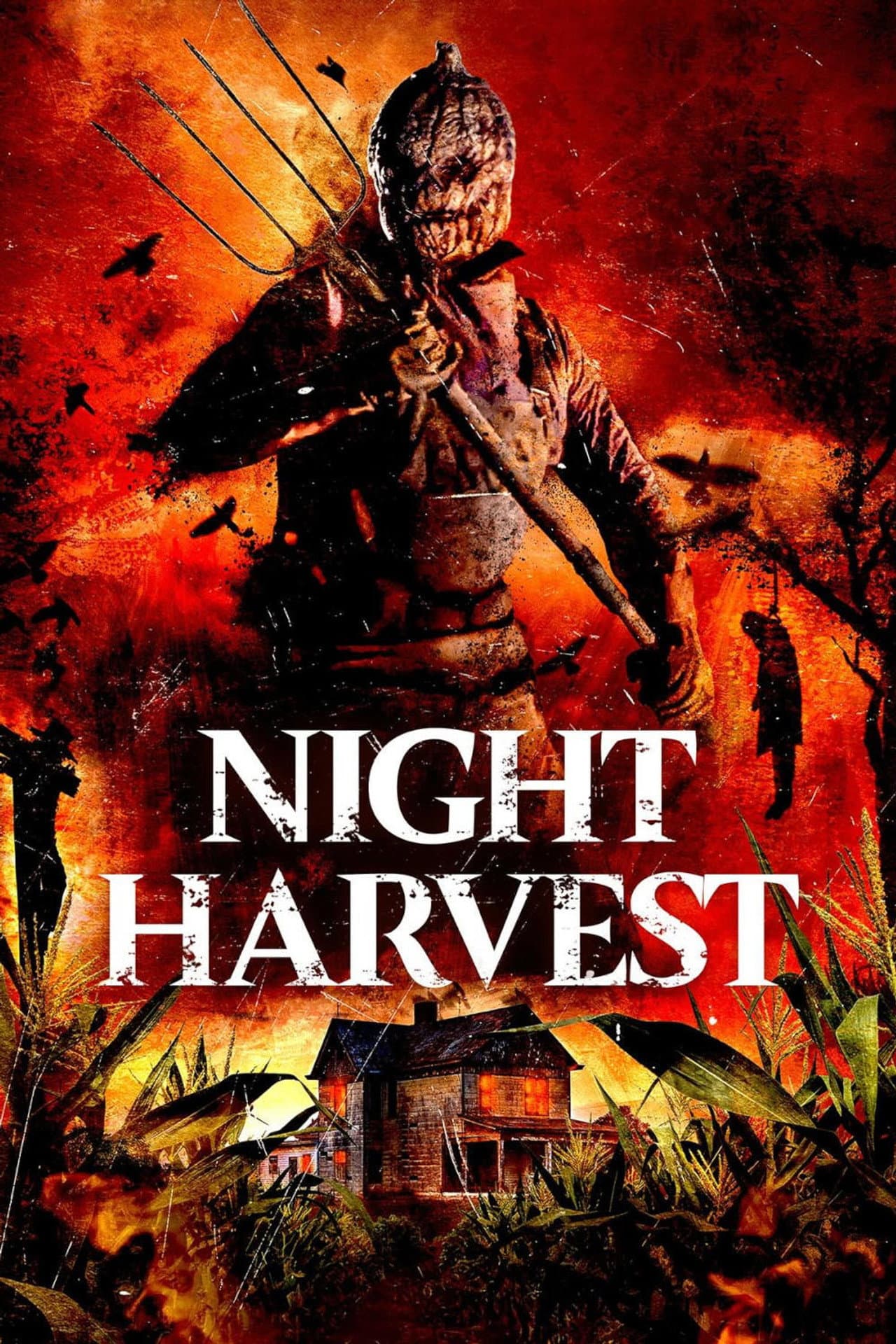 Night Harvest preview 1