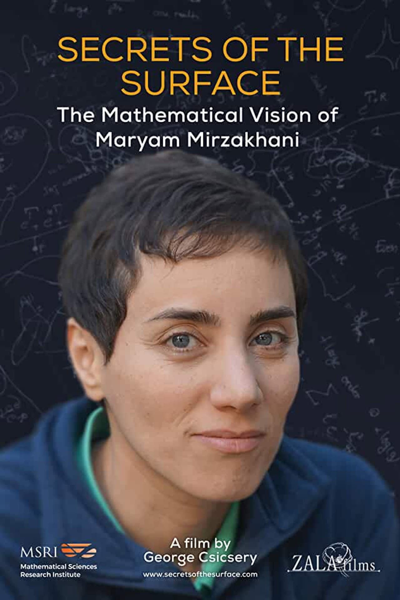 Secrets of the Surface: The Mathematical Vision of Maryam Mirzakhani preview 2