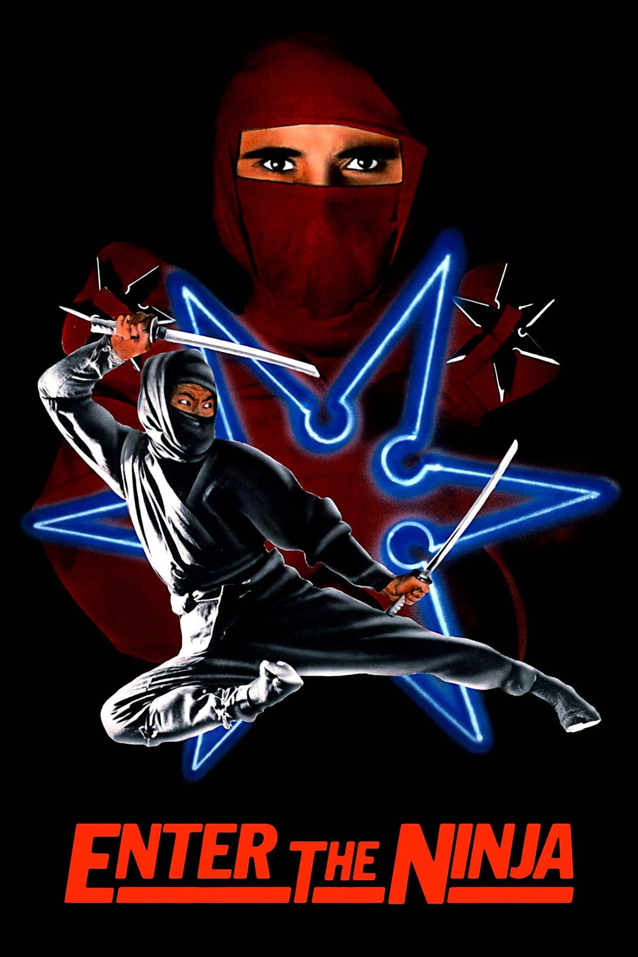 Enter the Ninja preview 2