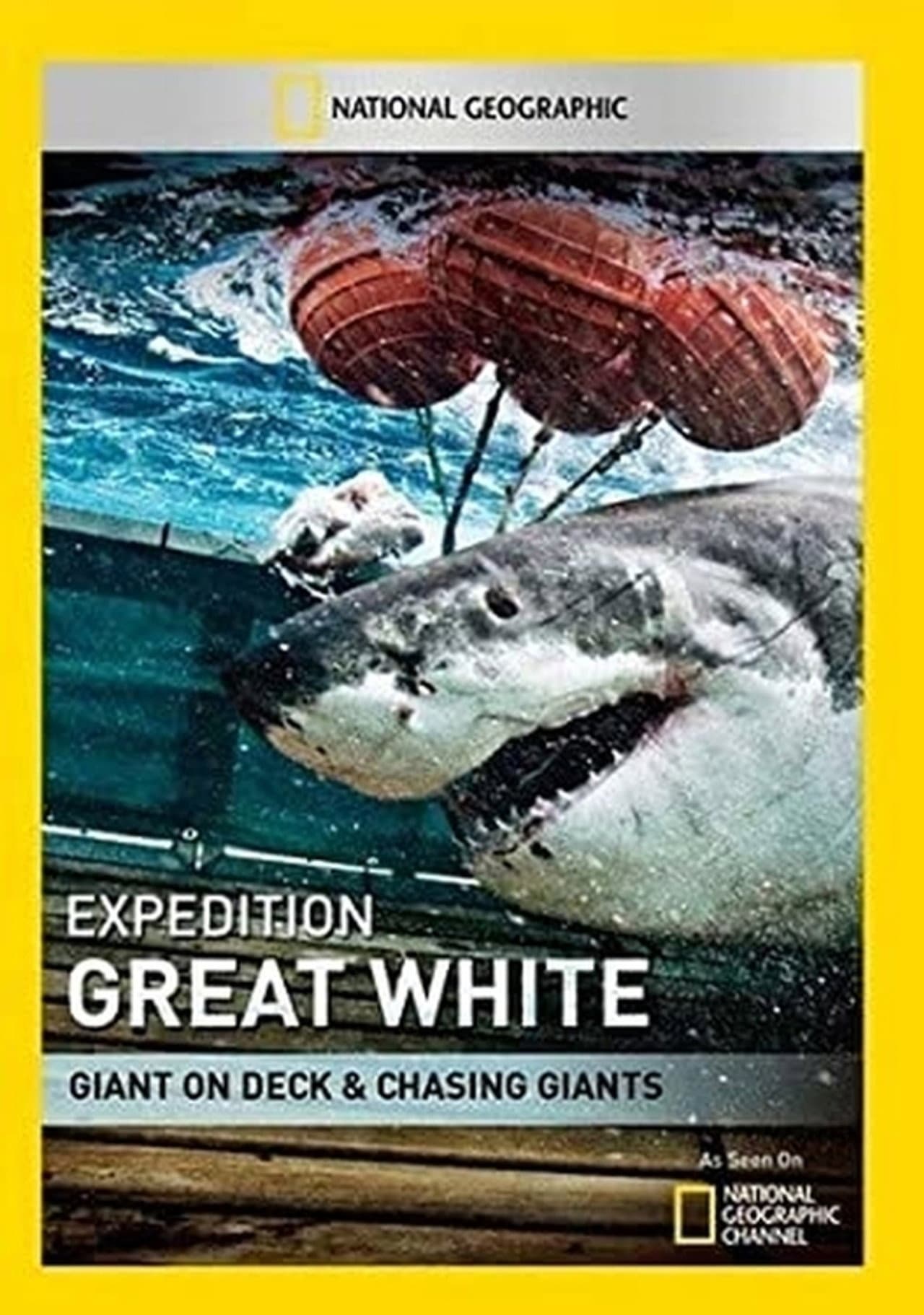 Shark Men preview 2