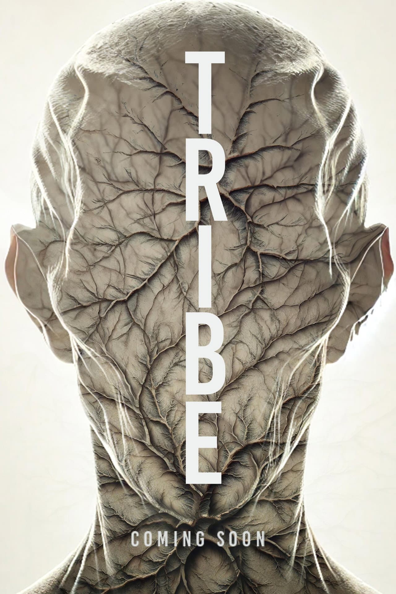 Tribe preview 2