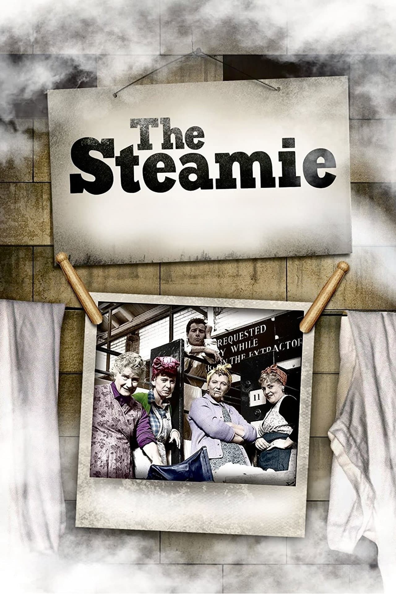 The Steamie preview 2