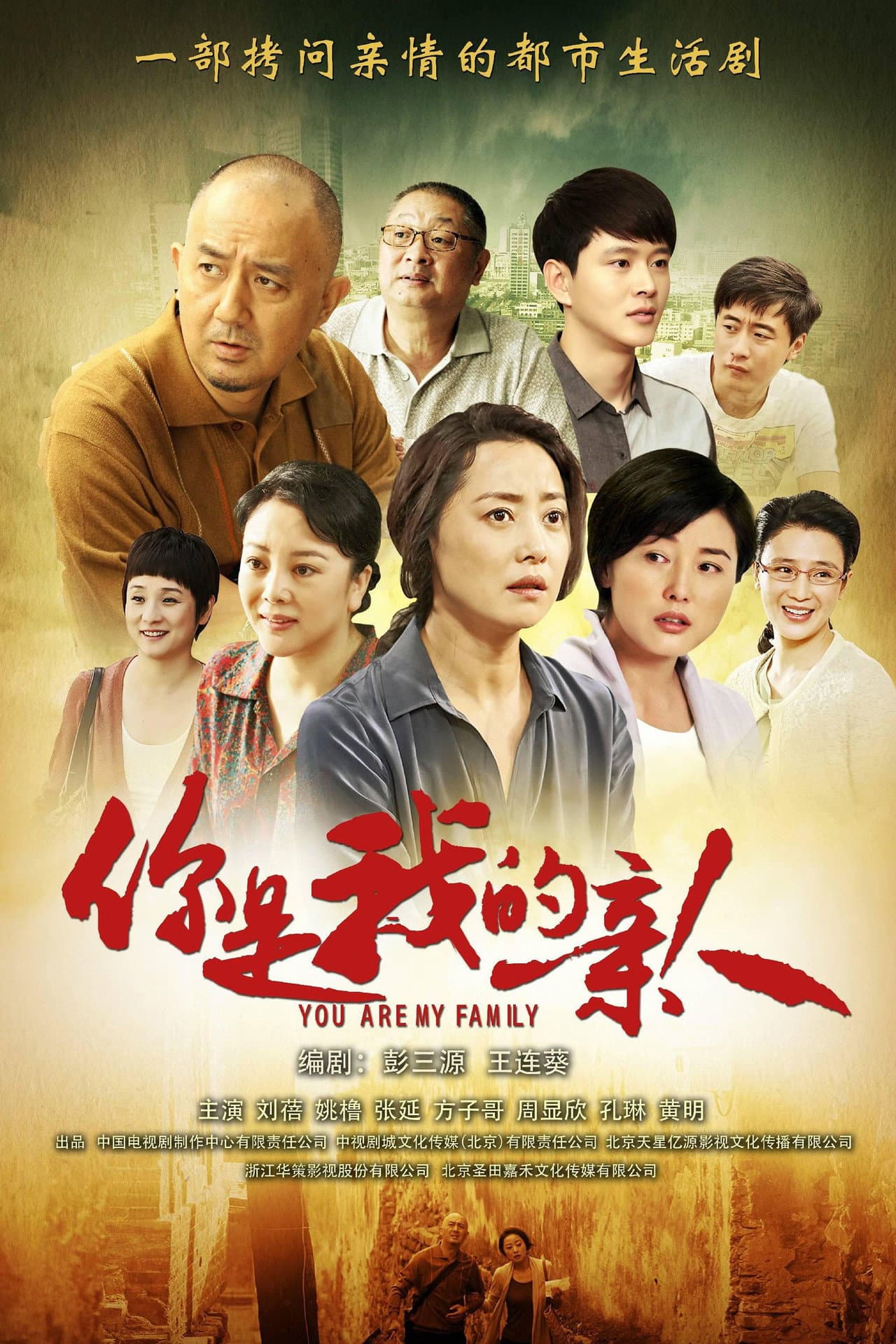 你是我的亲人 preview 2