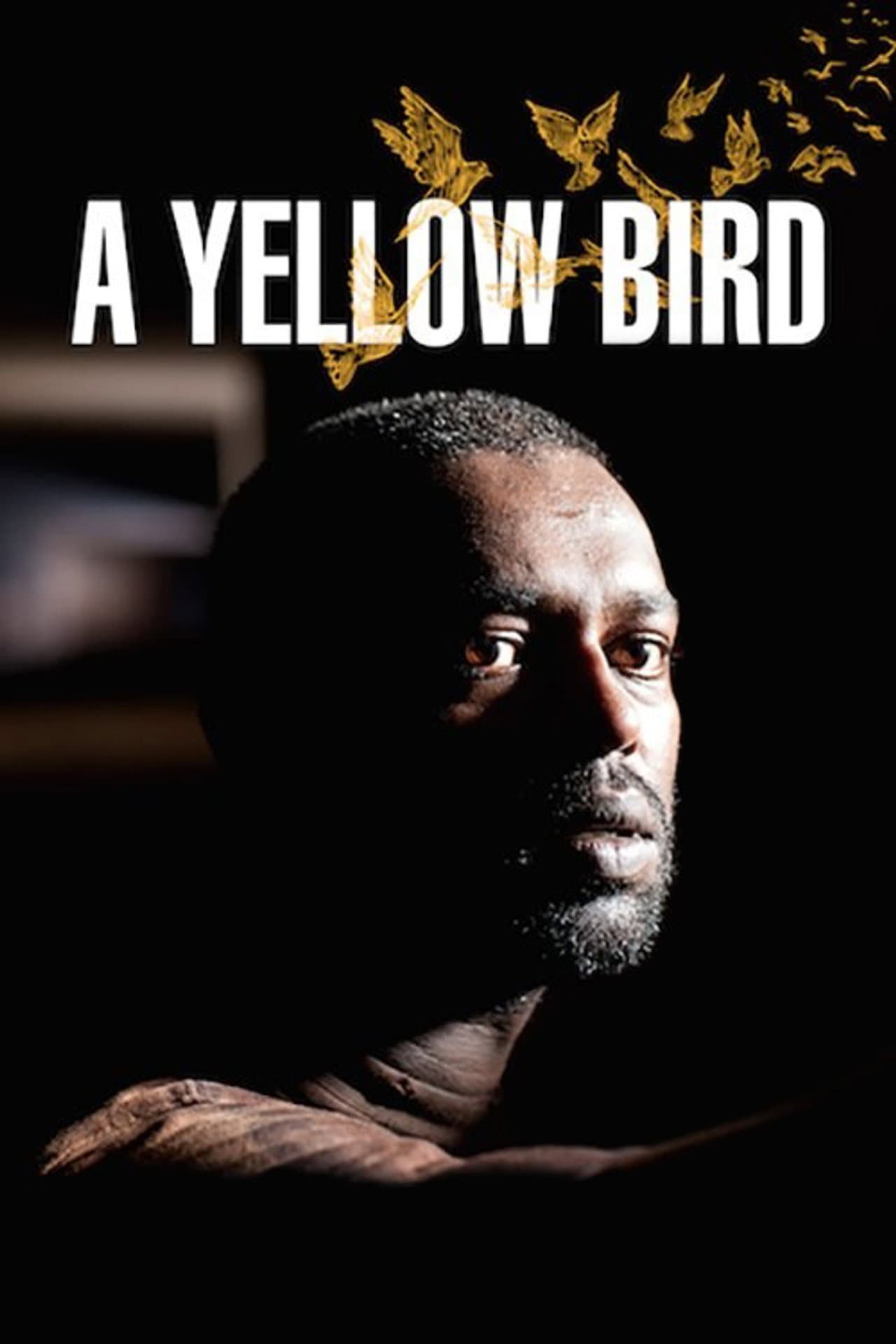A Yellow Bird preview 2