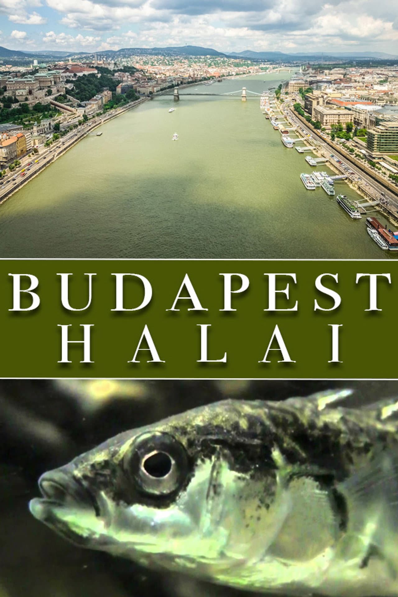 The Fish of Budapest preview 1