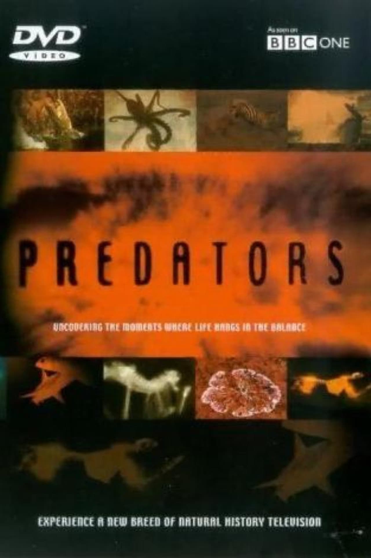 Predators preview 1