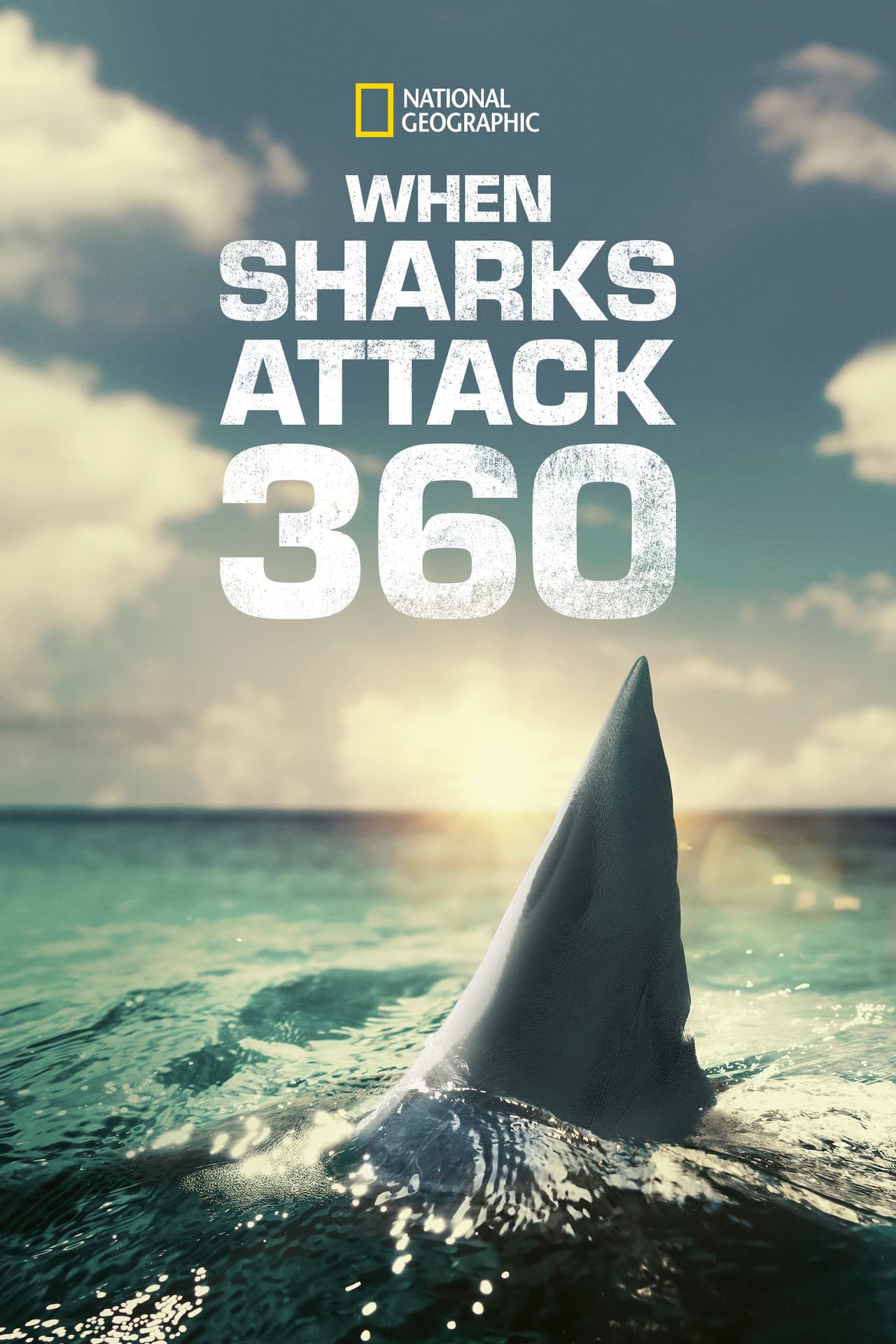 When Sharks Attack 360 preview 2