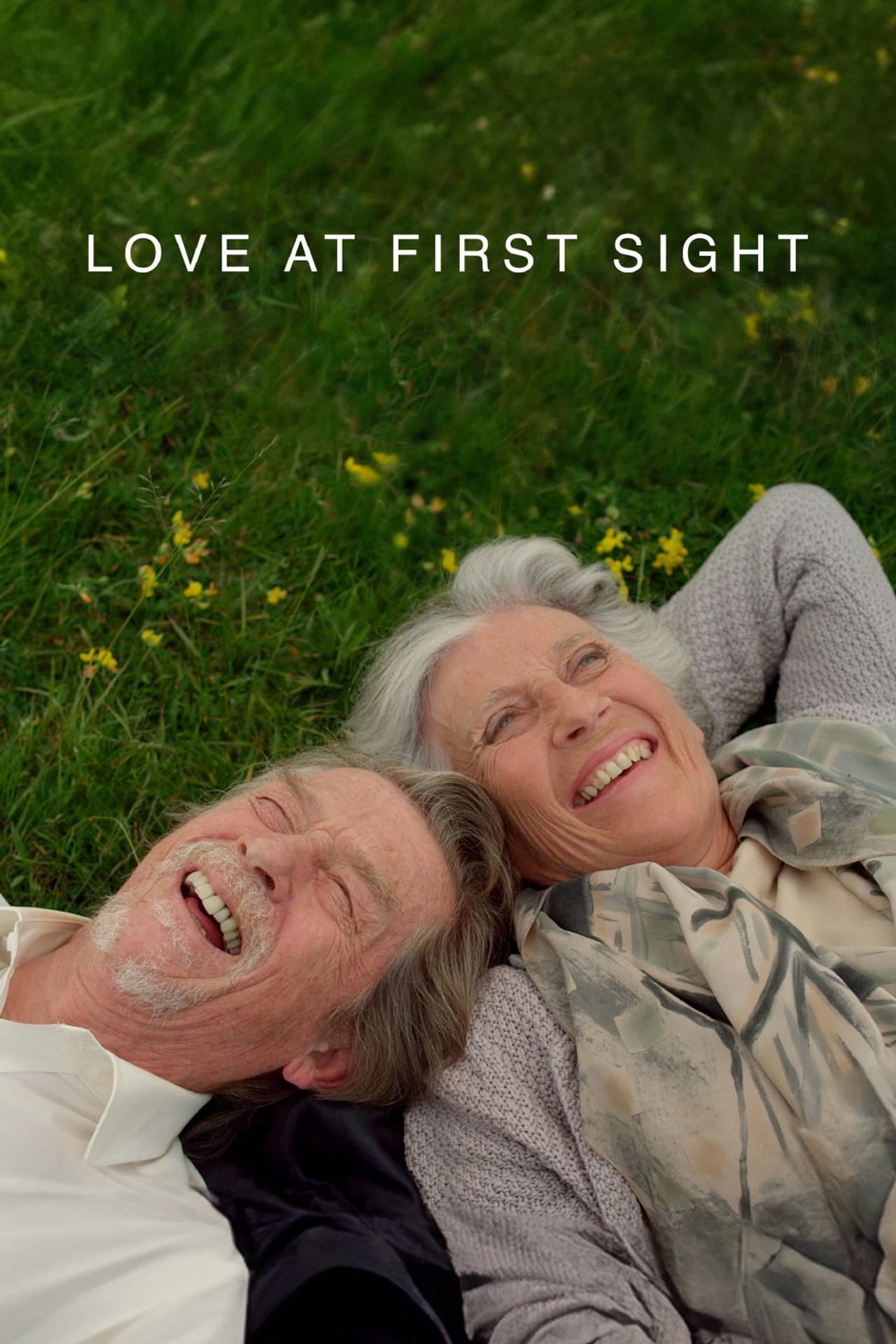 Love at First Sight preview 2