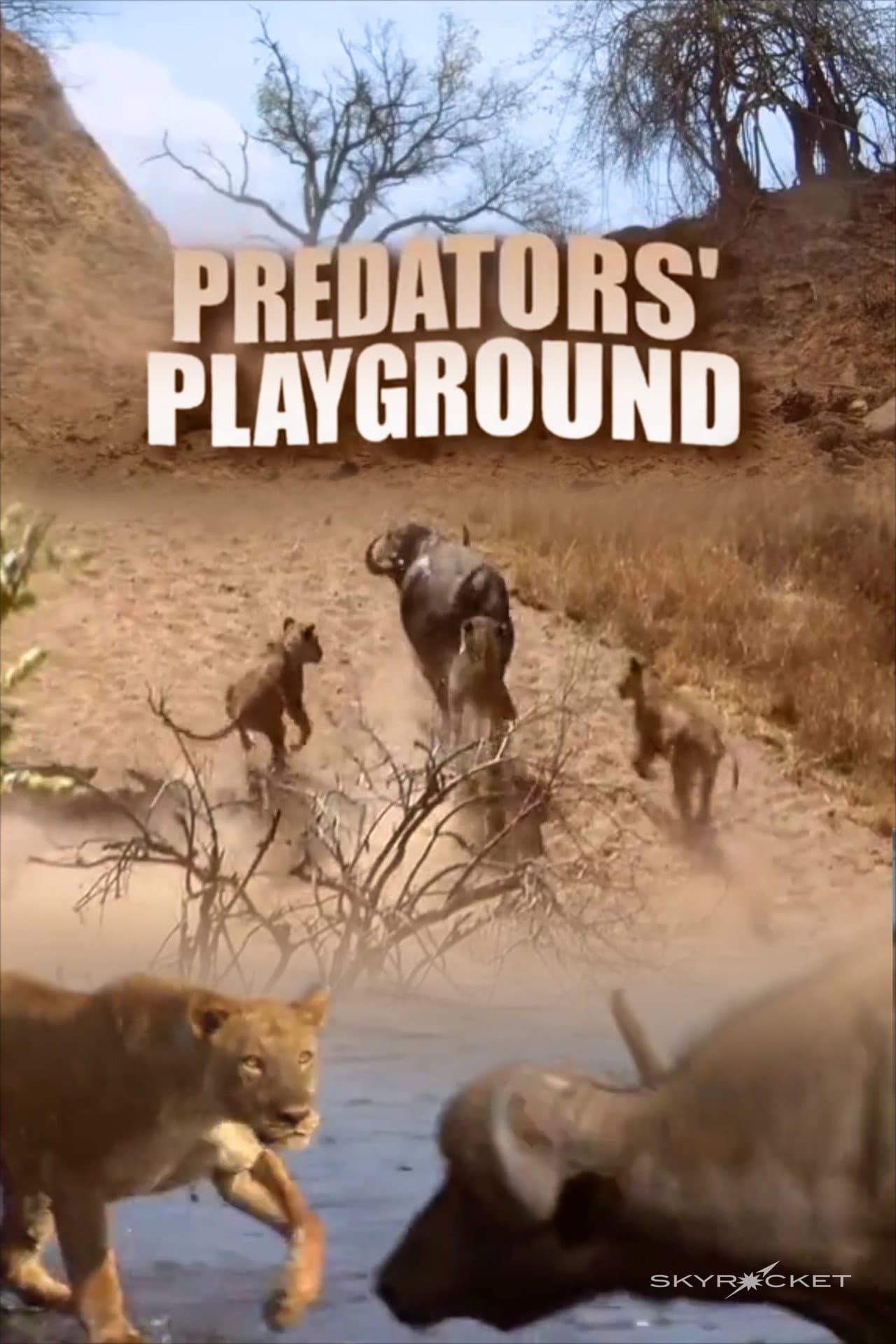 Predator's Playground preview 2