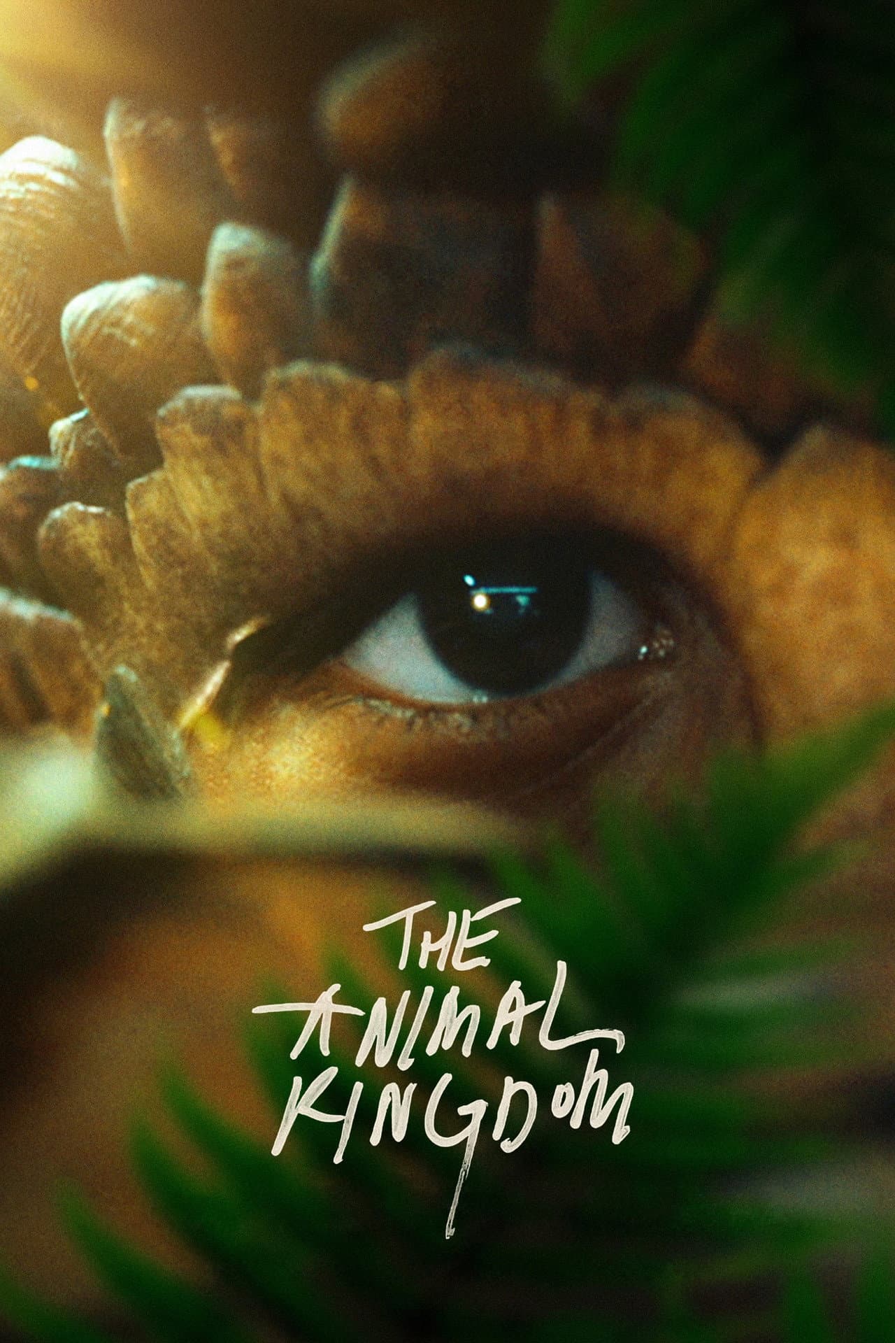 The Animal Kingdom preview 2