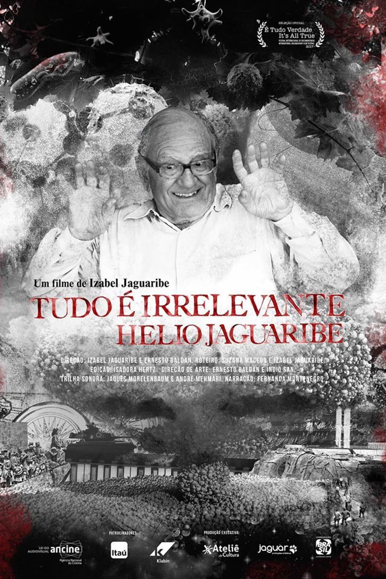 Tudo é Irrelevante. Hélio Jaguaribe preview 2
