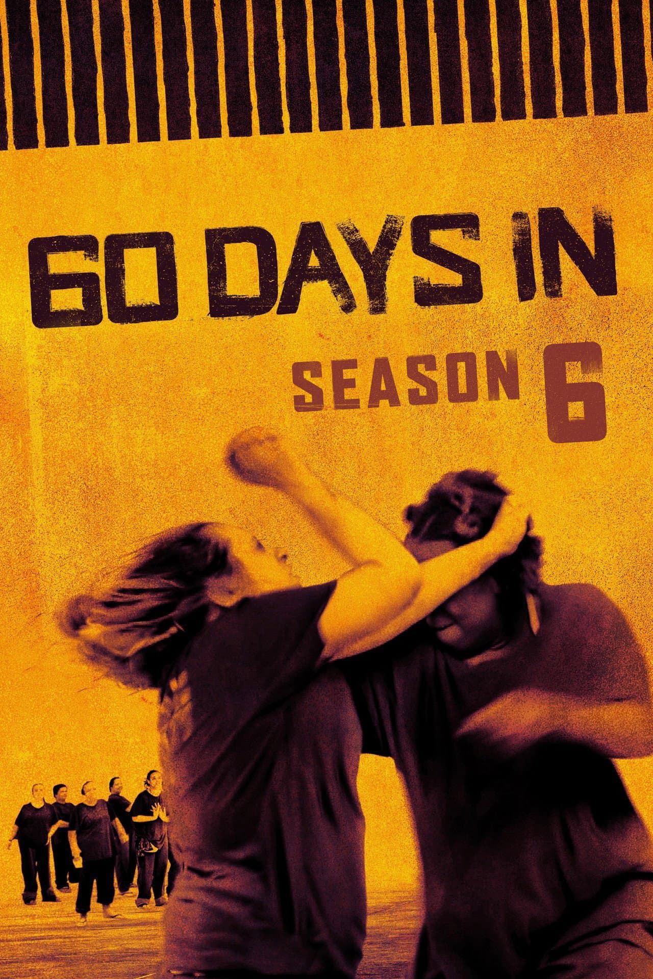 Season 6