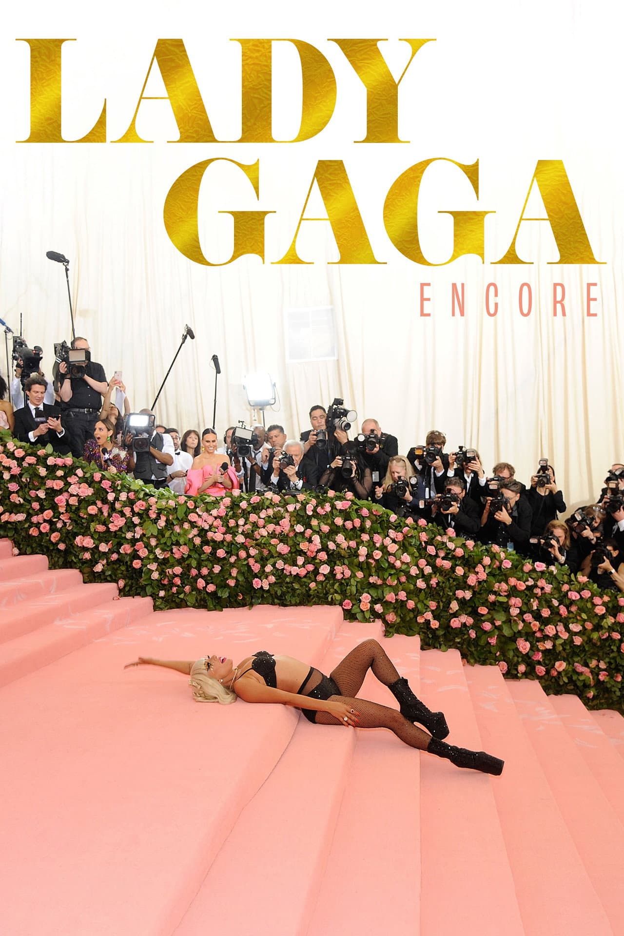 Lady Gaga - Encore preview 2