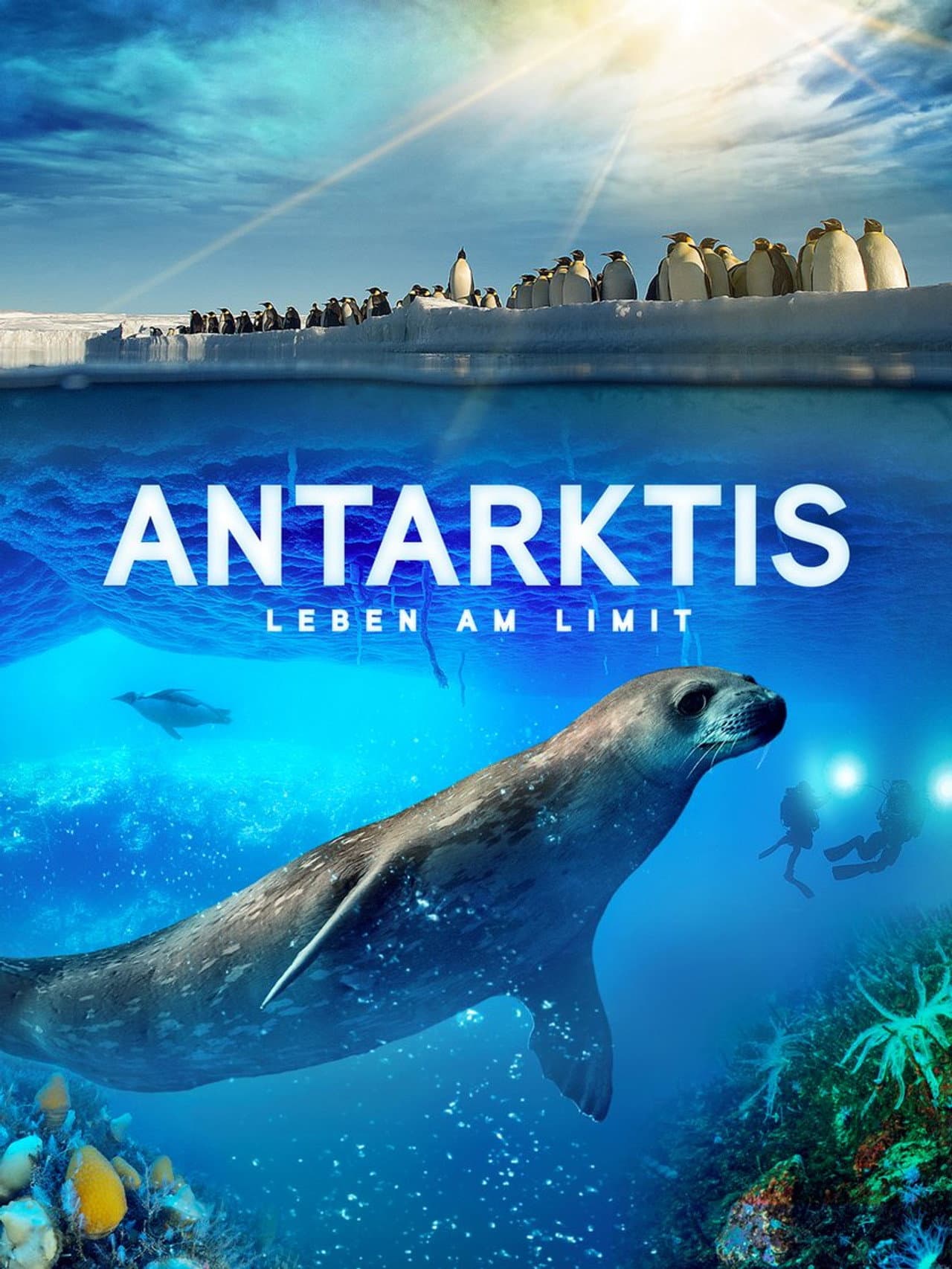 Antarktis - Leben am Limit preview 2