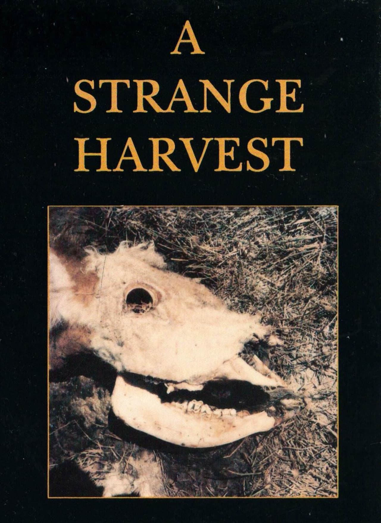 A Strange Harvest preview 1