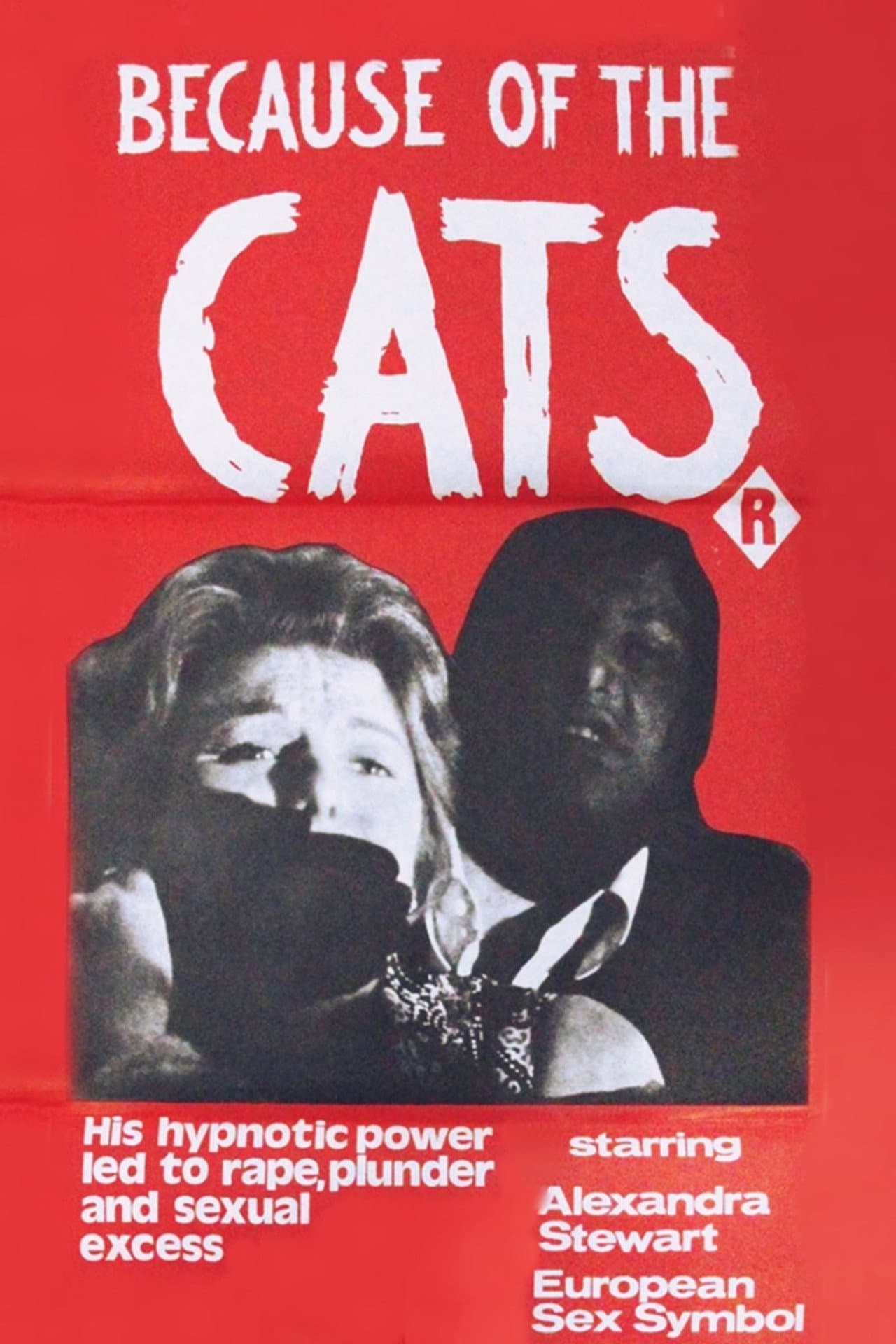 Because of the Cats preview 2