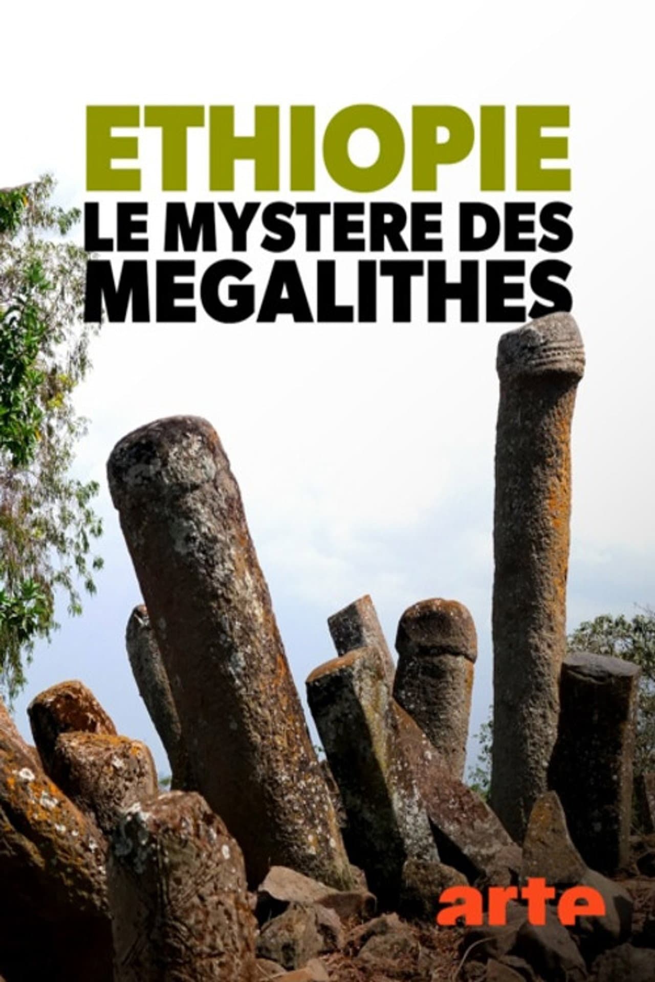 Éthiopie, le mystère des mégalithes preview 1