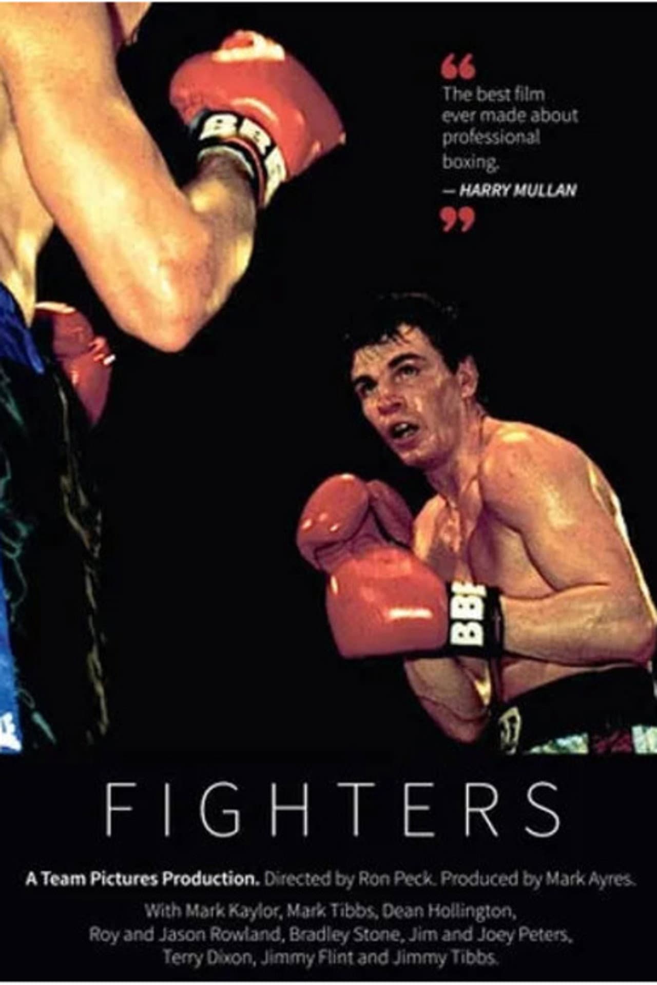 Fighters preview 2
