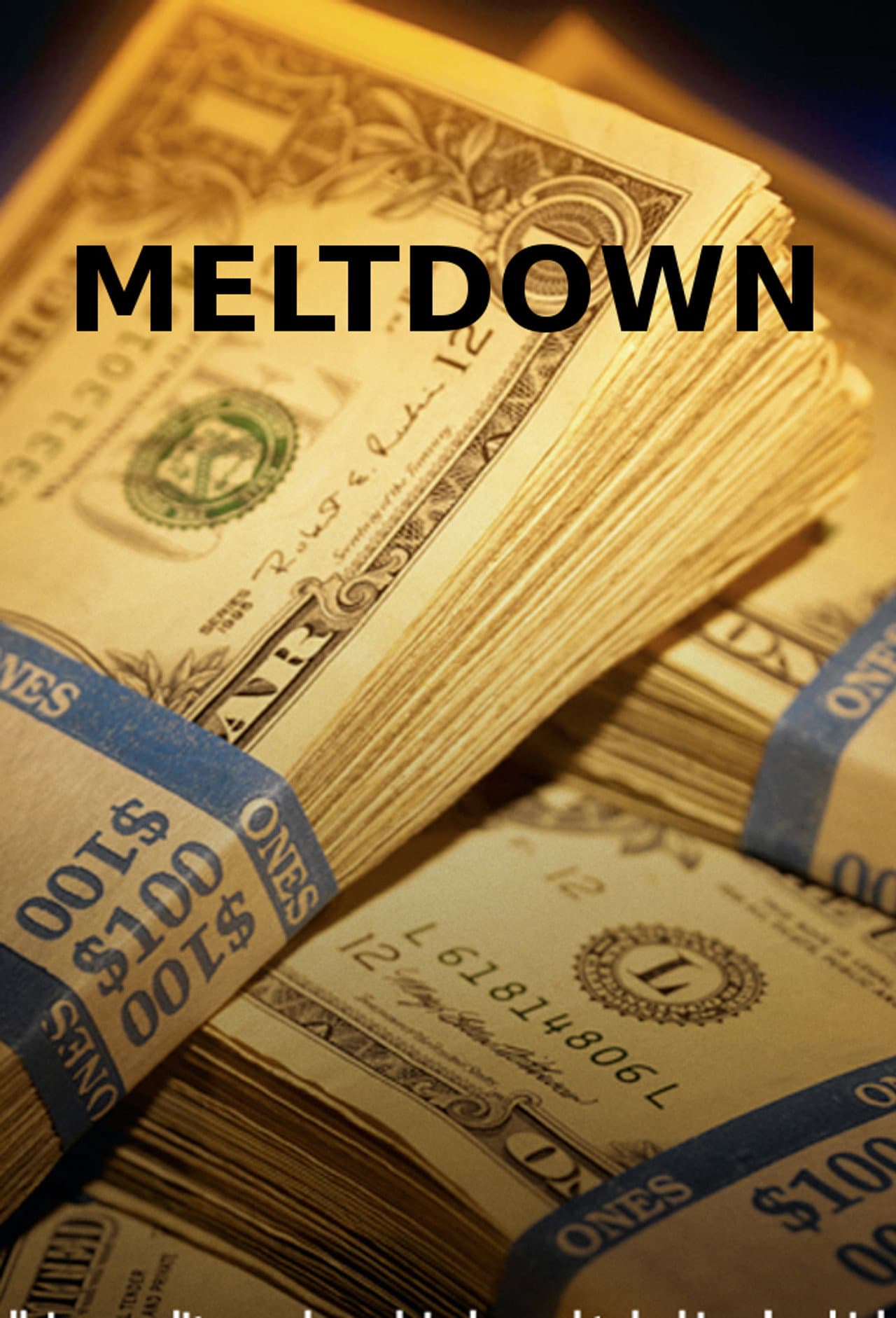 Meltdown: The Secret History of the Global Collapse preview 2