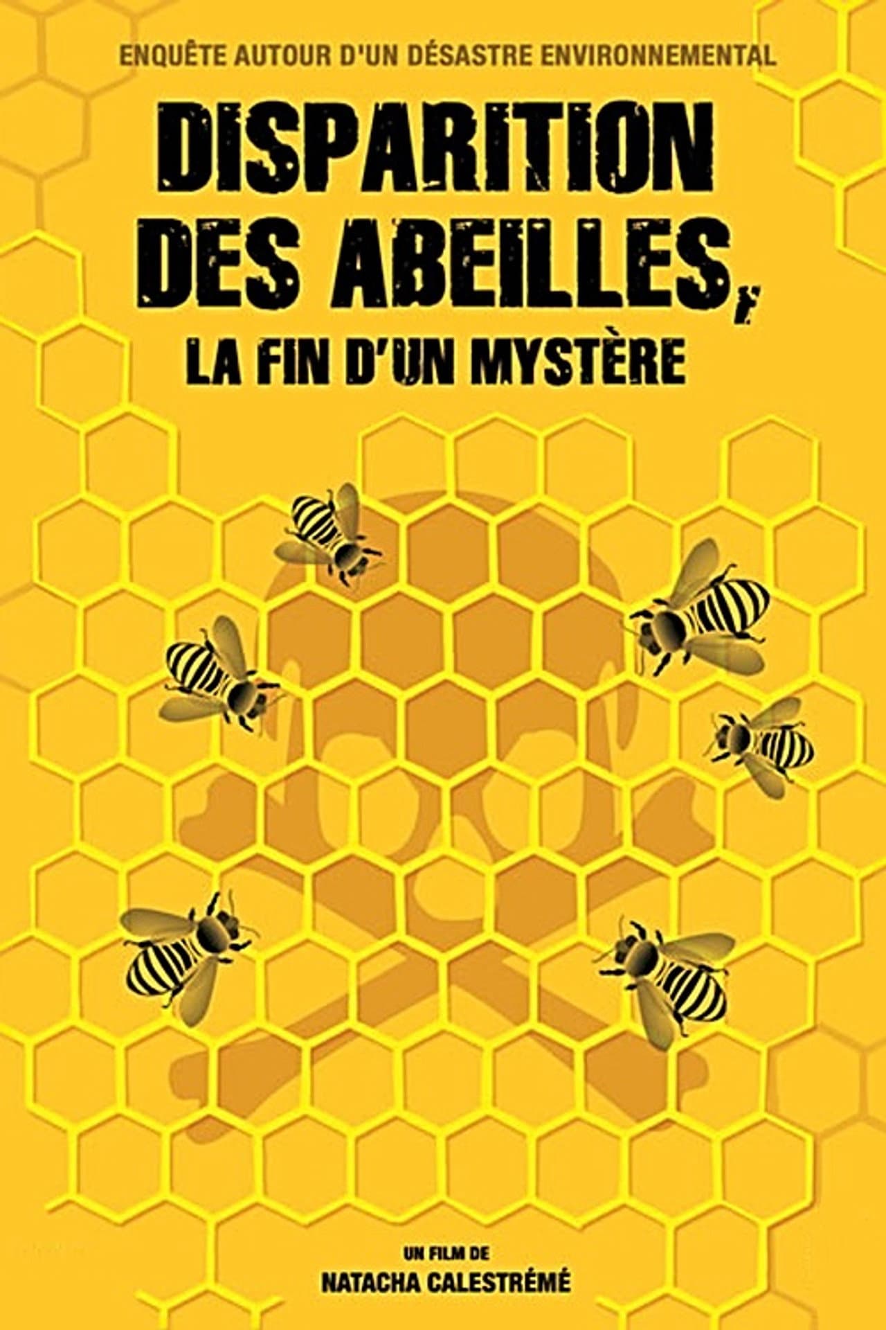 Disparition des abeilles, la fin d'un mystère preview 2