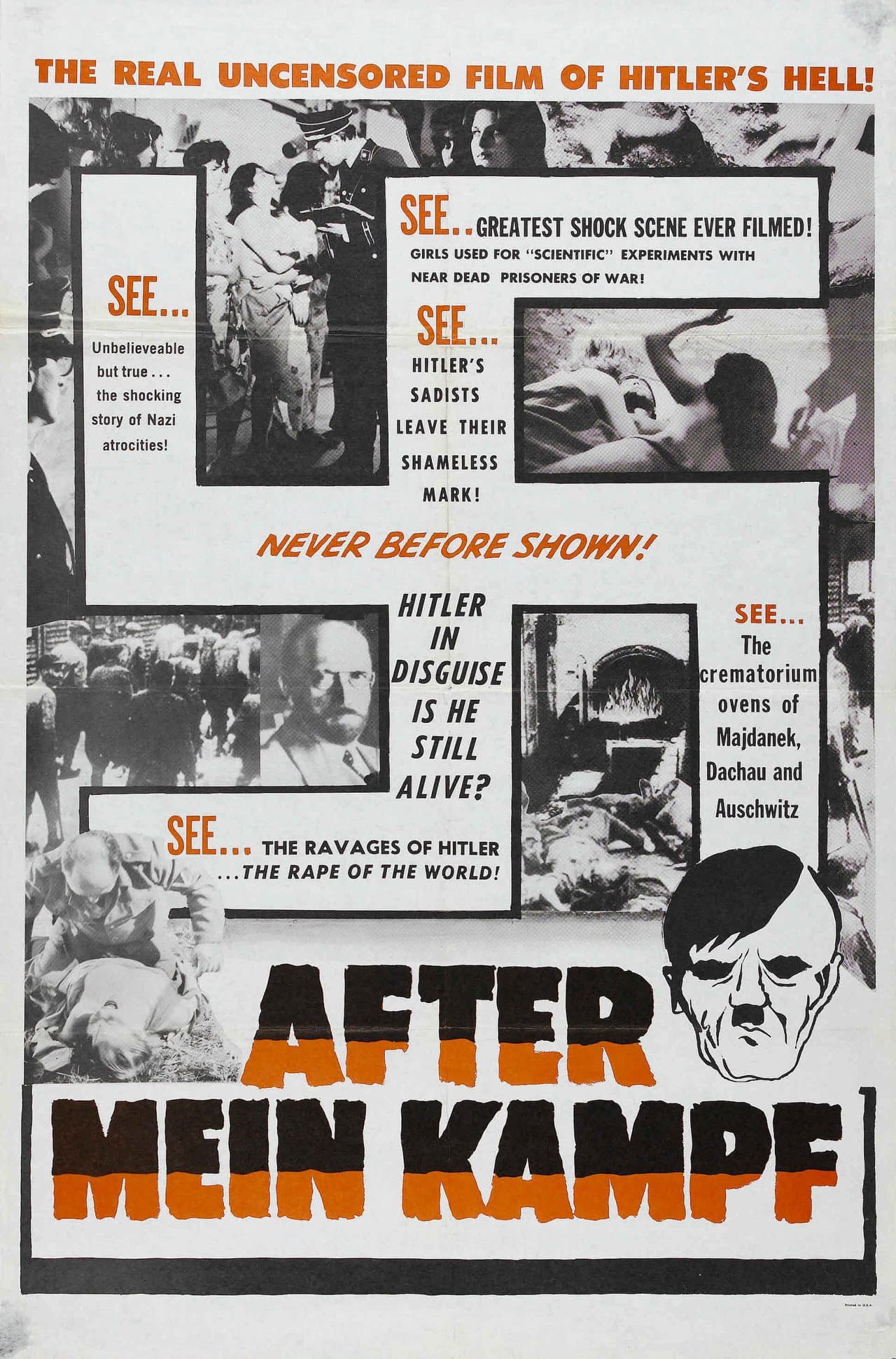 After Mein Kampf? preview 1