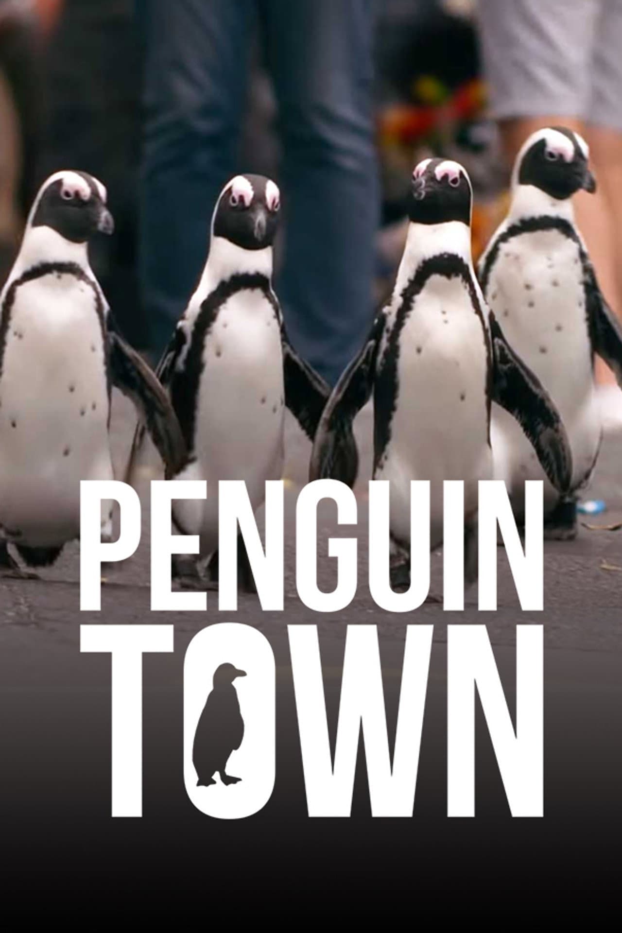 Penguin Town preview 2