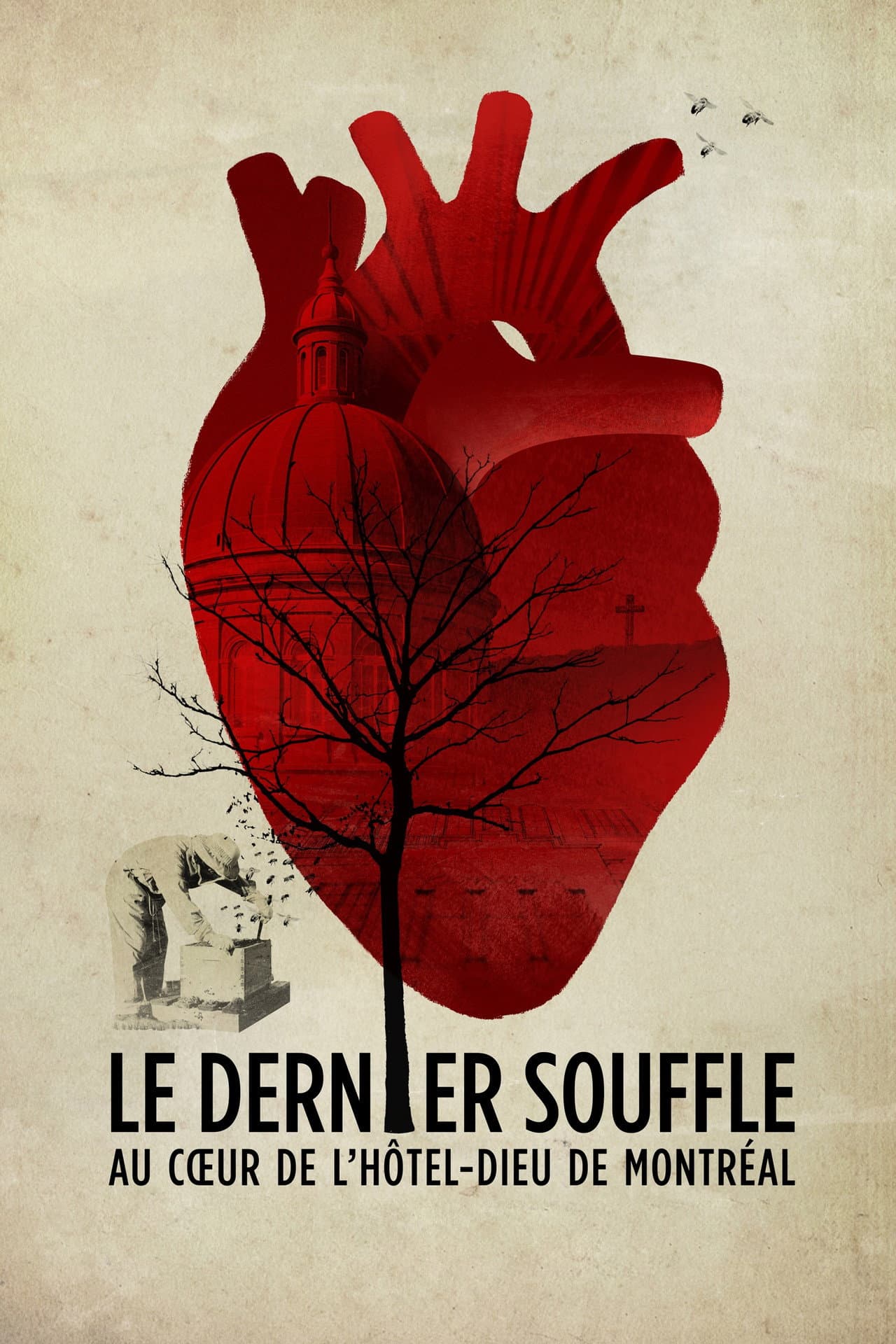 Le dernier souffle, au cœur de l'Hôtel-Dieu de Montréal preview 2
