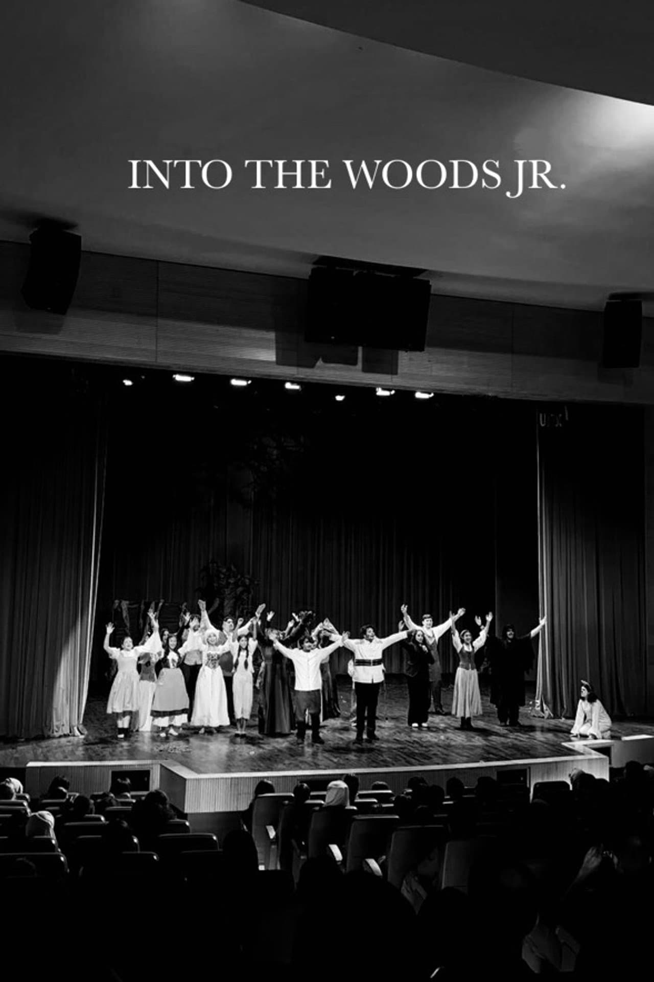 Into The Woods (AUS Productions) preview 2