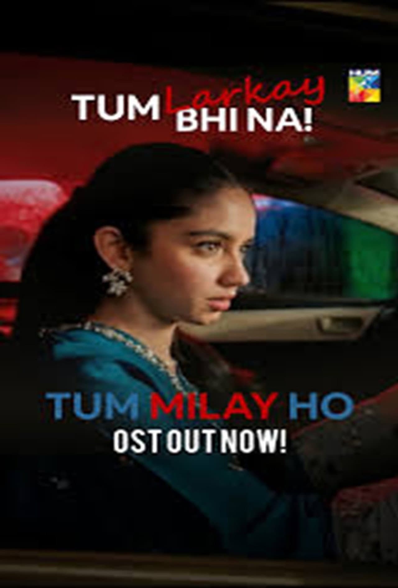 Tum Milay Ho preview 1